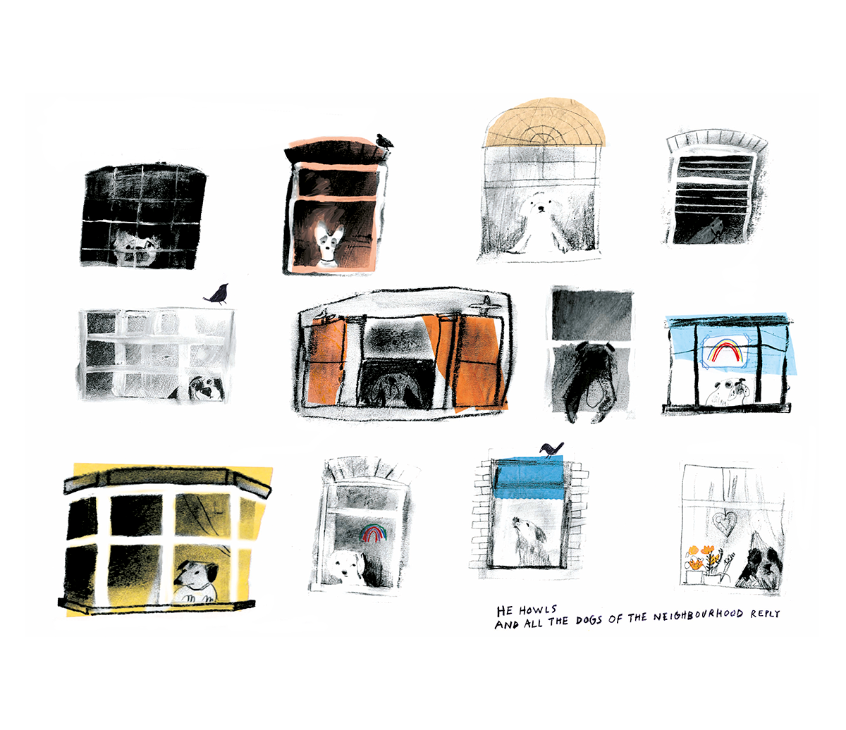 gill-smith-dogs-in-windows.png