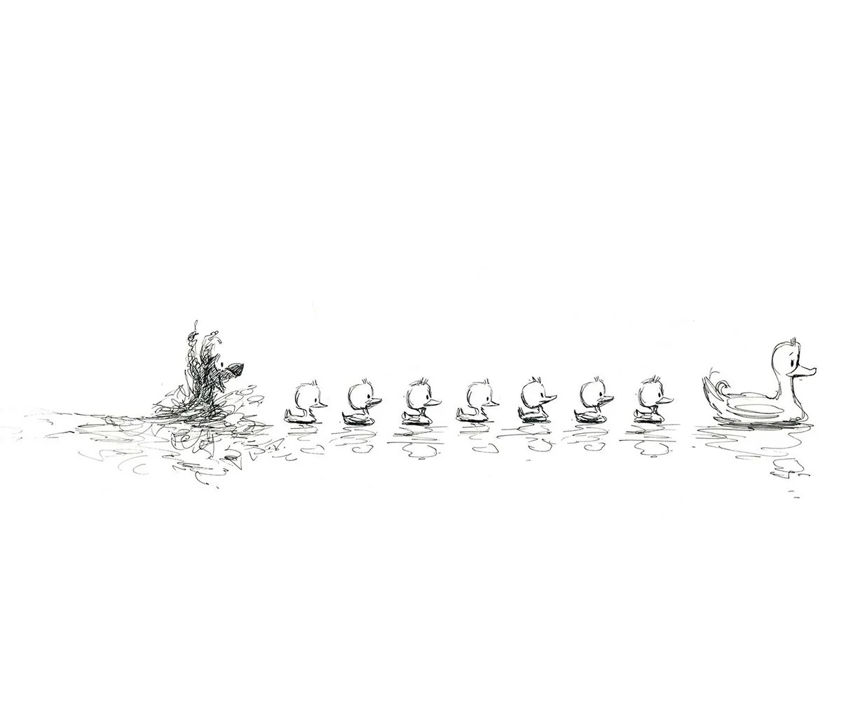 colin-stimpson-ducks-dogling-ruffs.jpg