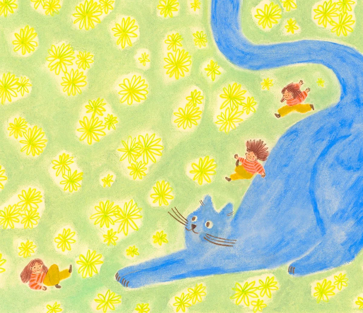 oly-mitchel-blue-cat-4.jpg