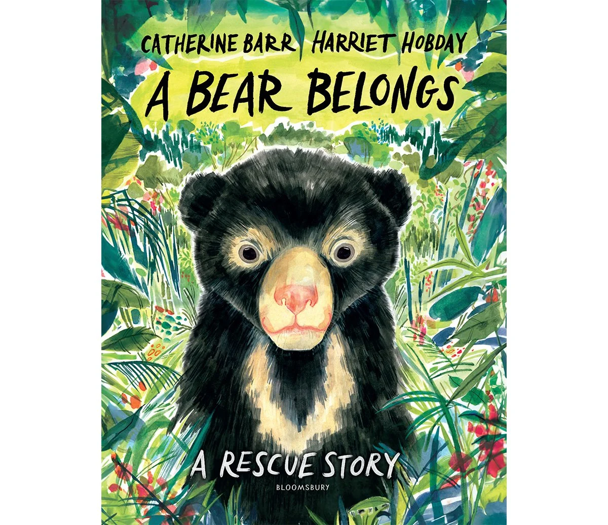 A Bear Belongs - Harriet Hobday.jpg
