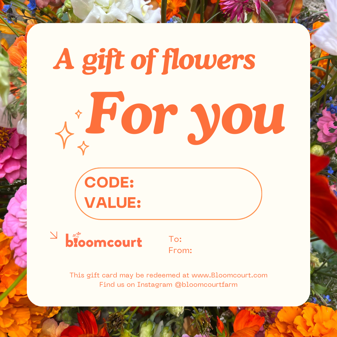 GIFT CARD.png