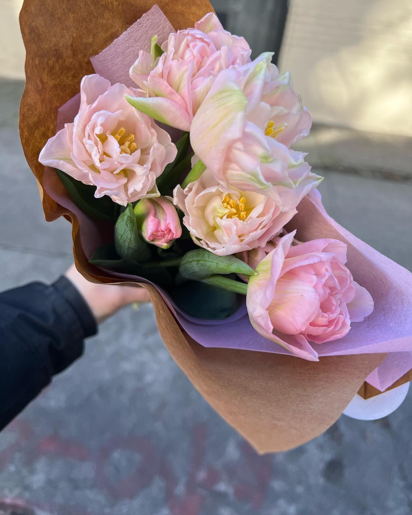 It&rsquo;s Tulip Transition Week on Bloomcourt Farm! The last of our hydro tulips are blooming in the greenhouse and the first of our tunnel tulips are beginning to bloom- hello Marie Jo! Our court tulips are also looking nice and green after some ti