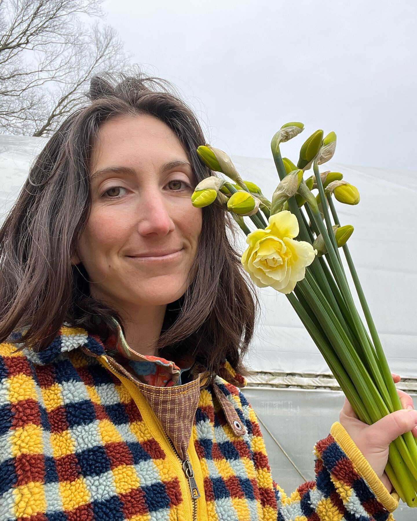 I harvested the first bunch of narcissus today! I wait all year for that first big breath in of its heavenly scent. Our Spring CSAs begin next week and we only have a handful of spots left! The Spring Season CSA gets you so many farm favorites includ
