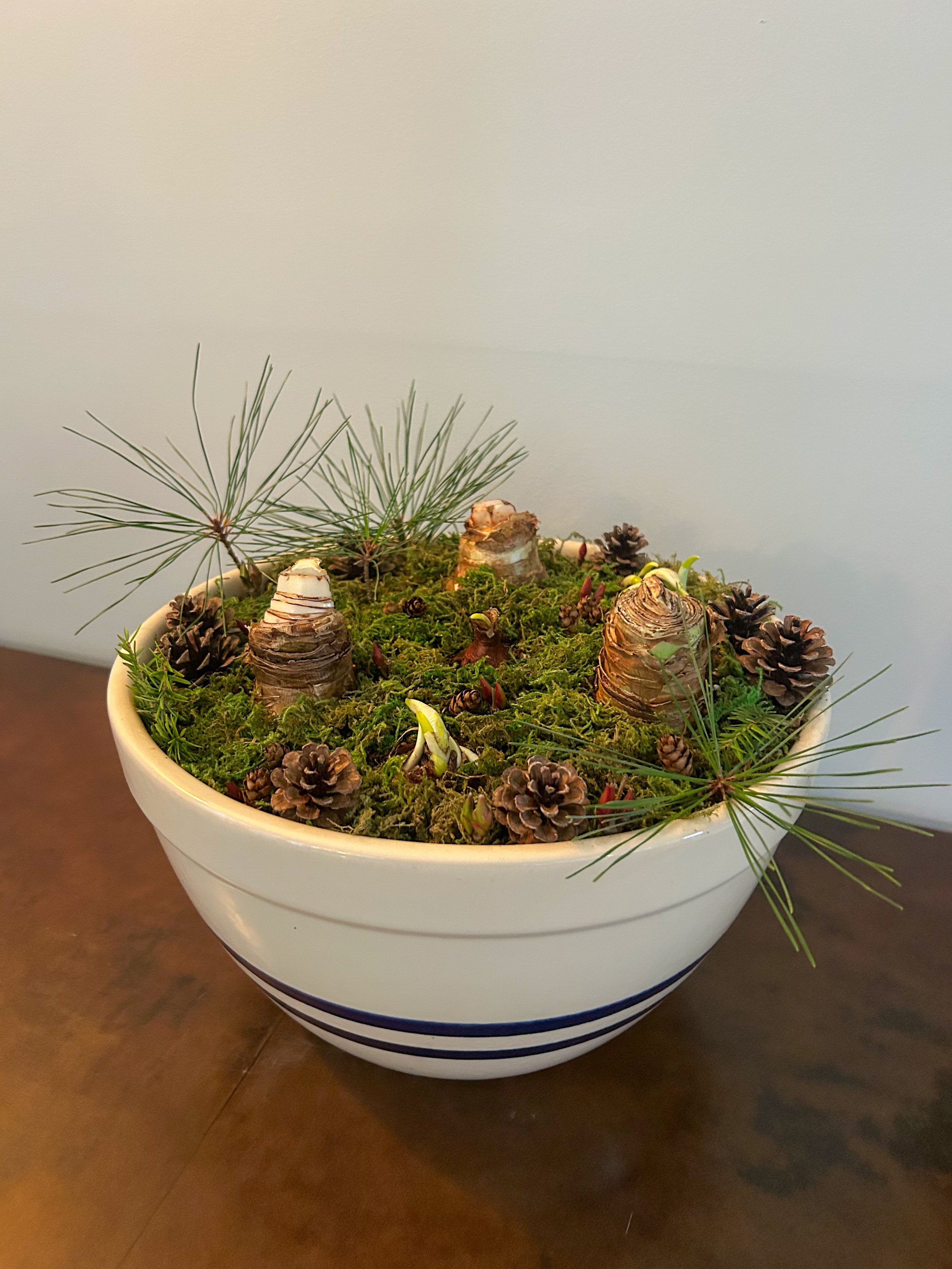 Holiday Bulb Garden in Keepsake Stoneware Mixing Bowl (Only 1 available!)