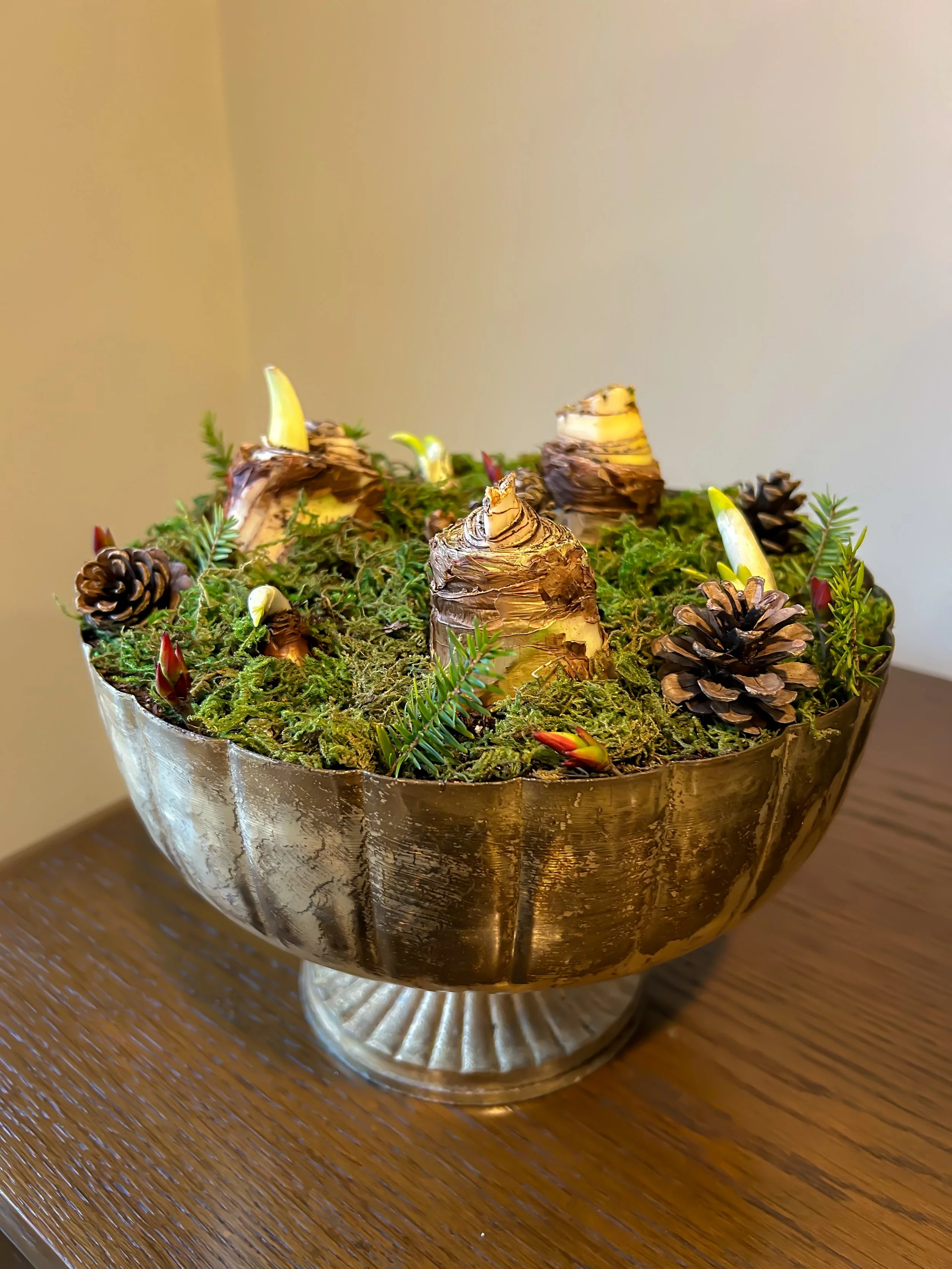 Holiday Bulb Garden in Pedestal Vase (2 Available)