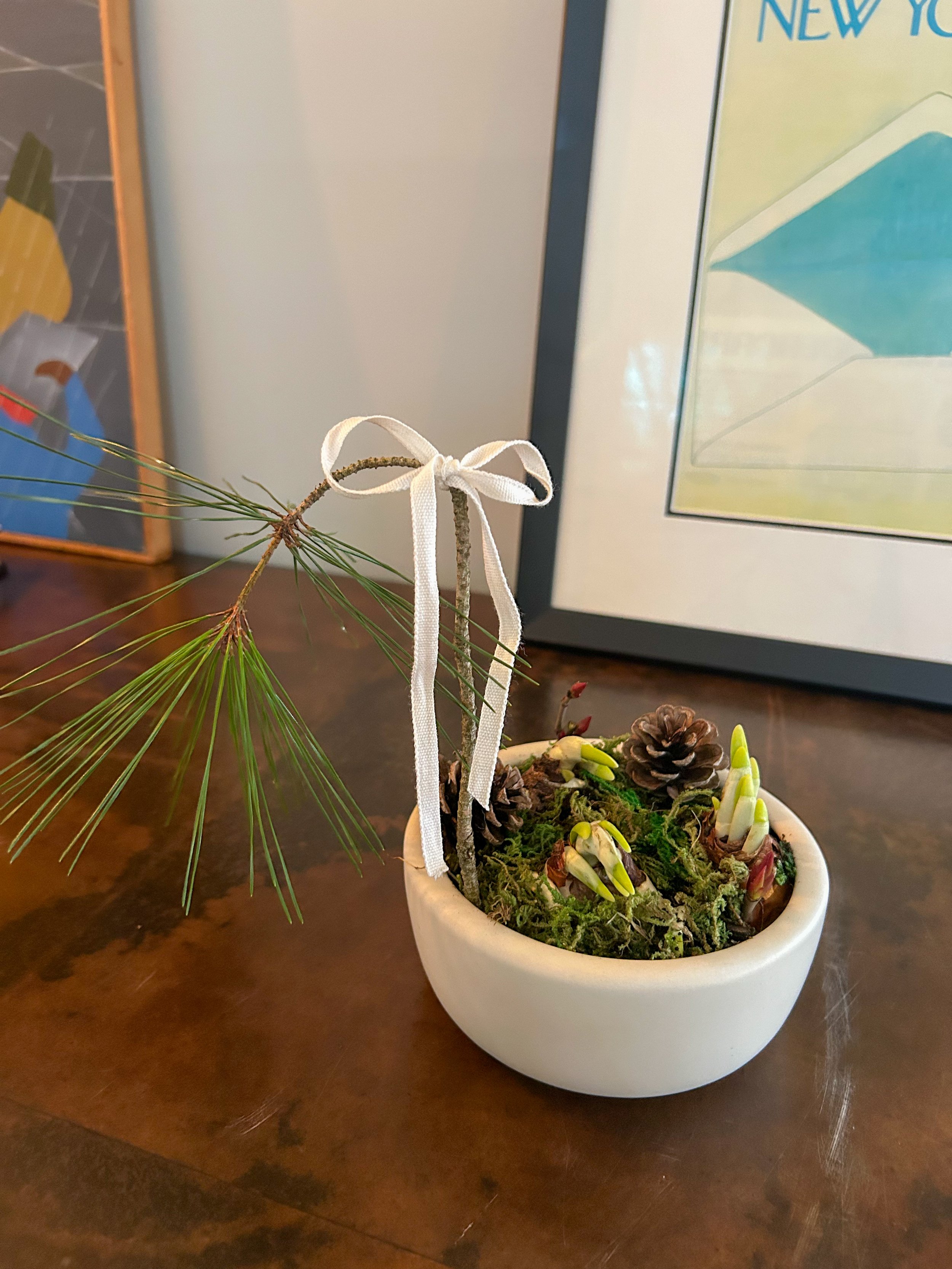 Bow & backround no border (4).JPG