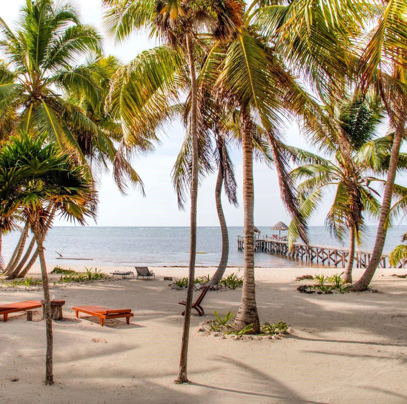 Playa Sonrisa Mexico nude resort beach view.jpg