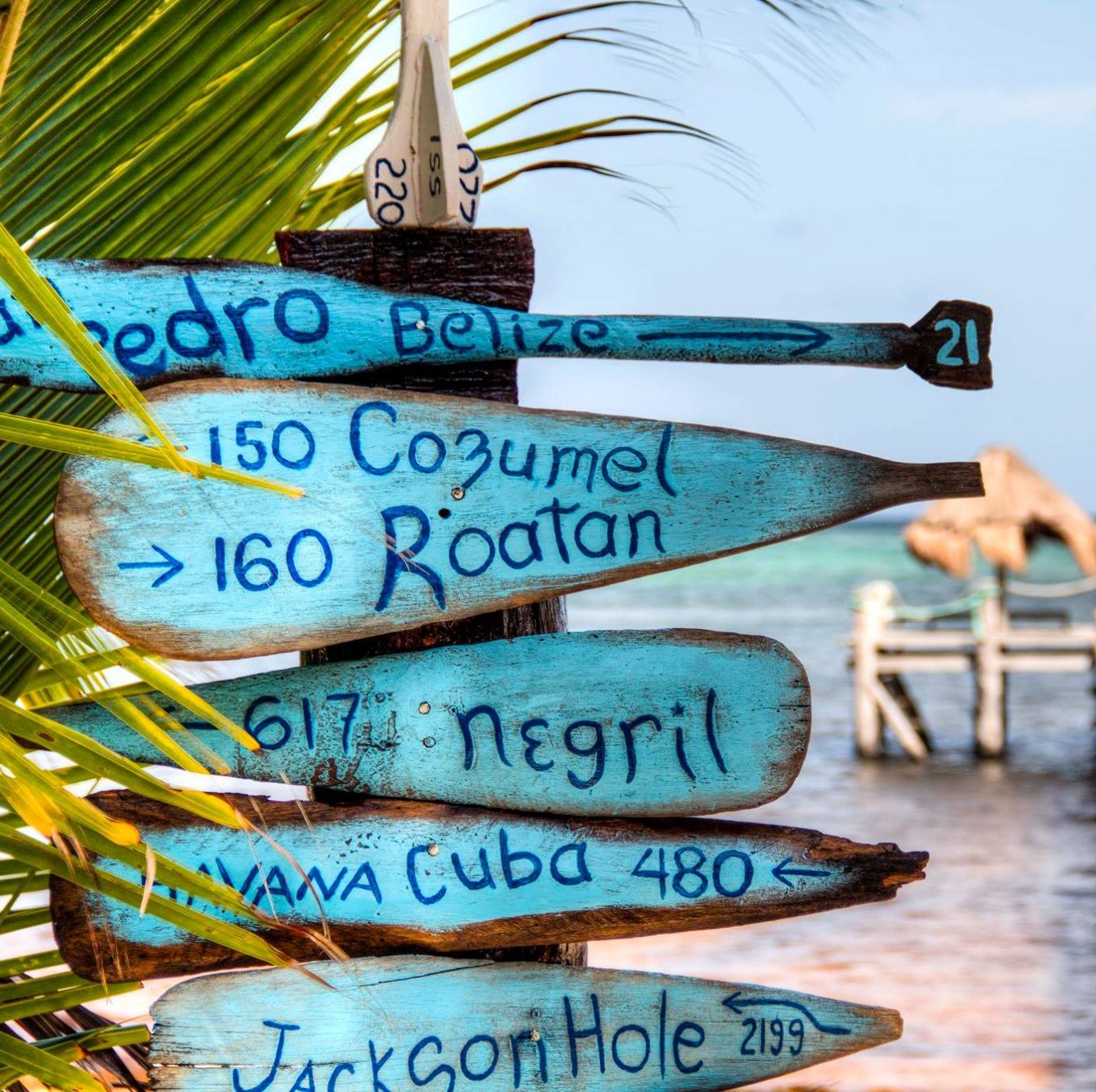 Playa Sonrisa Mexico nude resort beach sign.jpg