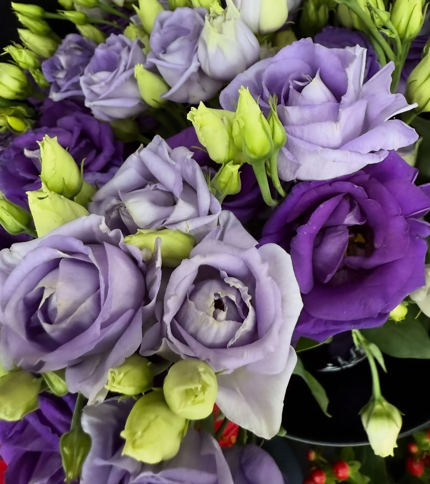 Because I just love the flowers here🥰 celebrating with some @fortnums choccies (a few of the late queen&rsquo;s favourites - violet and rose creams!) having sent my poor writing coach over 5k in three days. I&rsquo;m nothing if not good under pressu