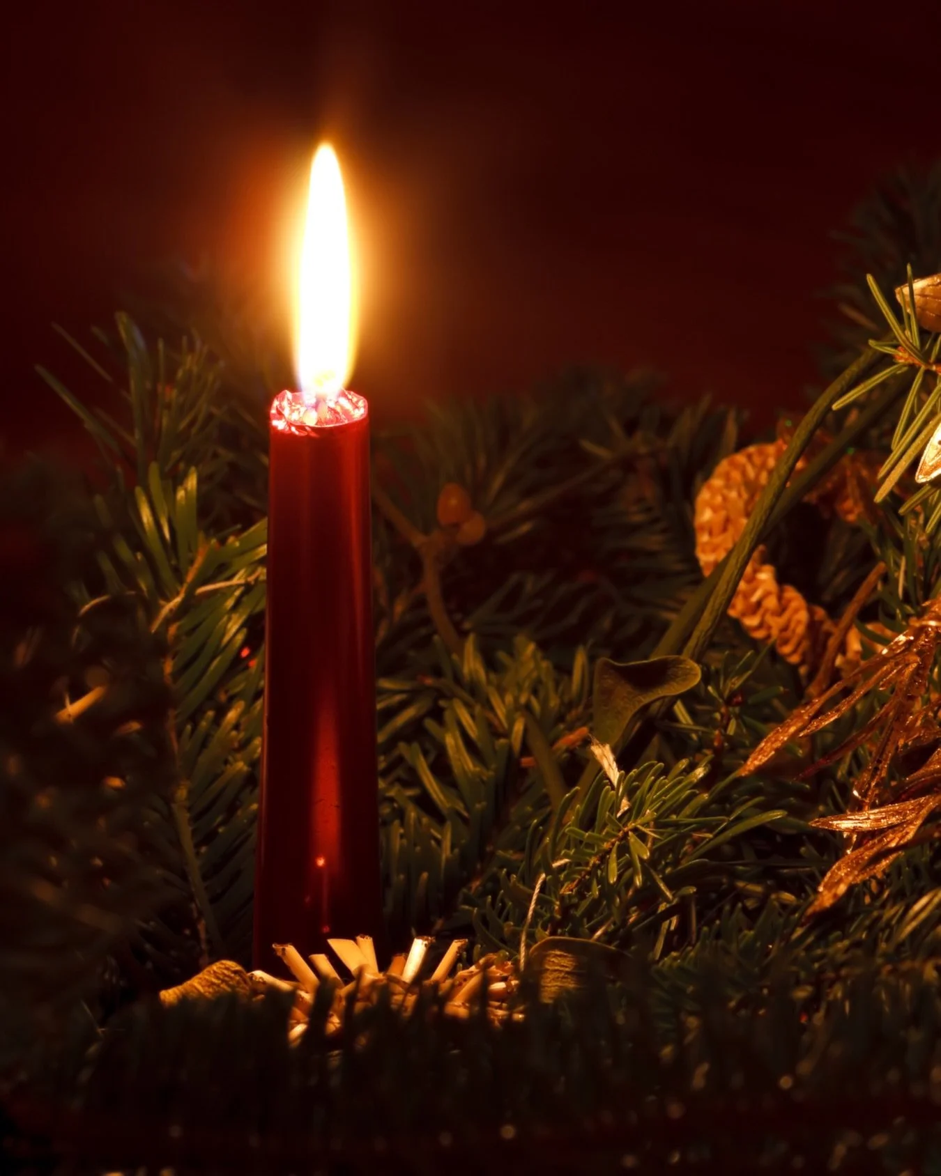 &ldquo;Christmas waves a magic wand over this world, and behold, everything is softer and more beautiful.&ldquo;
- Norman Vincent Peale

Happy Christmas, Froh&euml; Weihnachten to you and yours💚

✨
xx

#quoteoftheday #QOTD