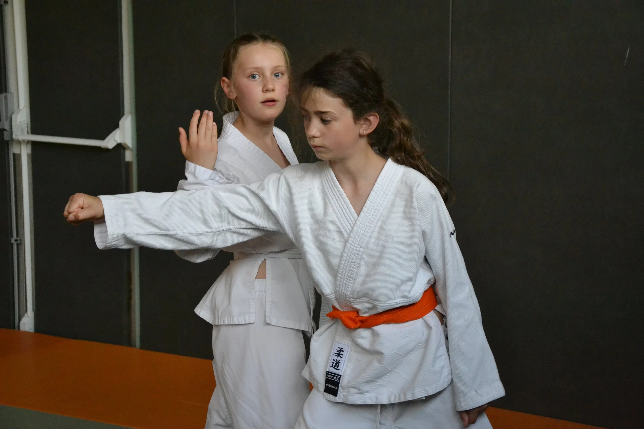 ACAF_interclub_aikido_enfants_Fontainebleau-Melun_05_2026_27.JPG