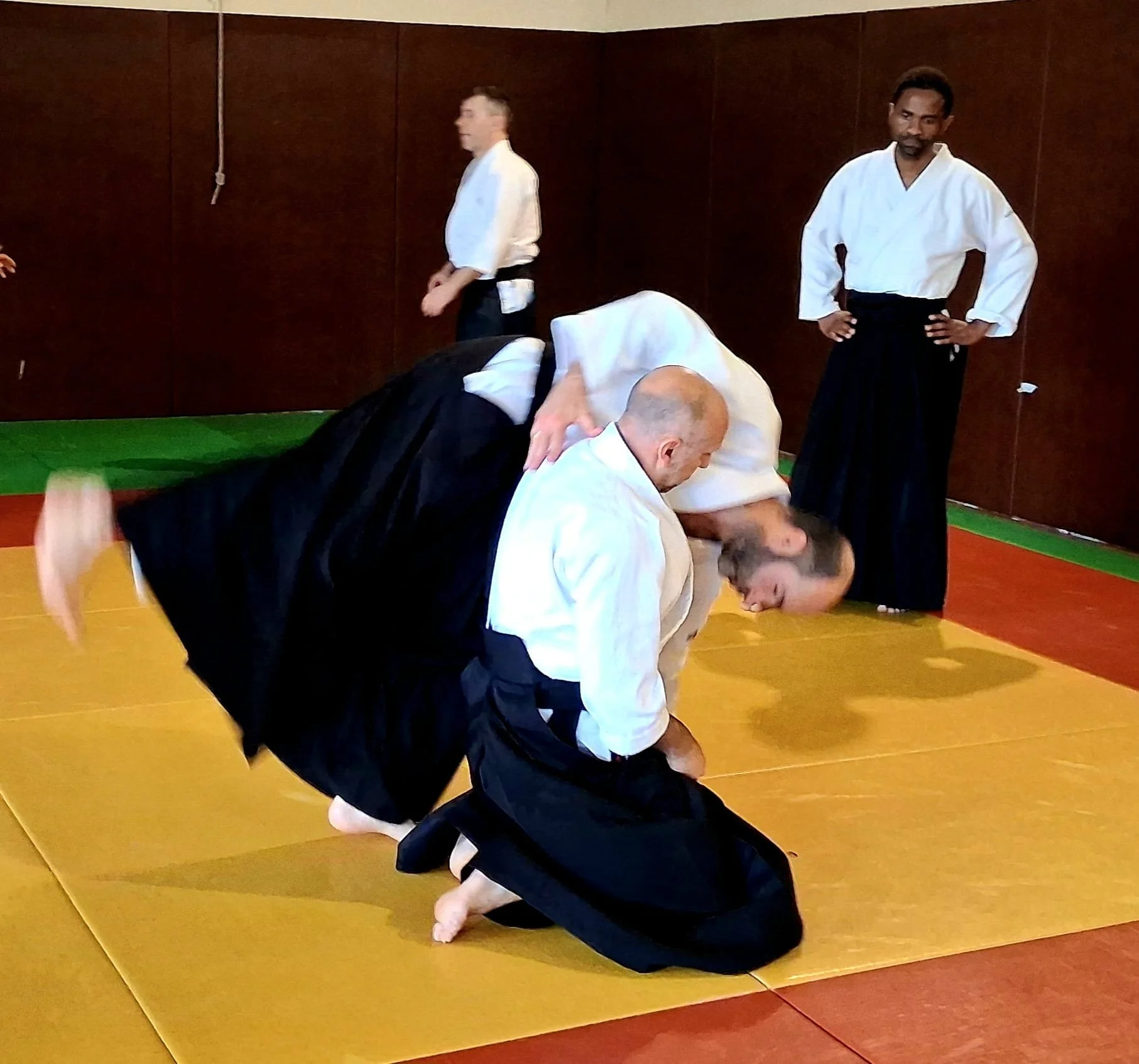 ACAF_stage_aikido_Thoiron_Gervais_05_2026_46.jpg