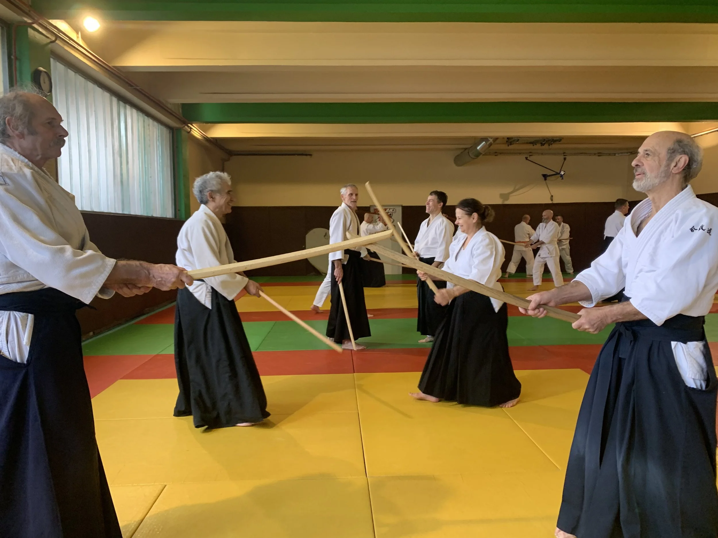 ACAF_stage_aikido_Stephane_Thoiron_01_2026_28.jpg