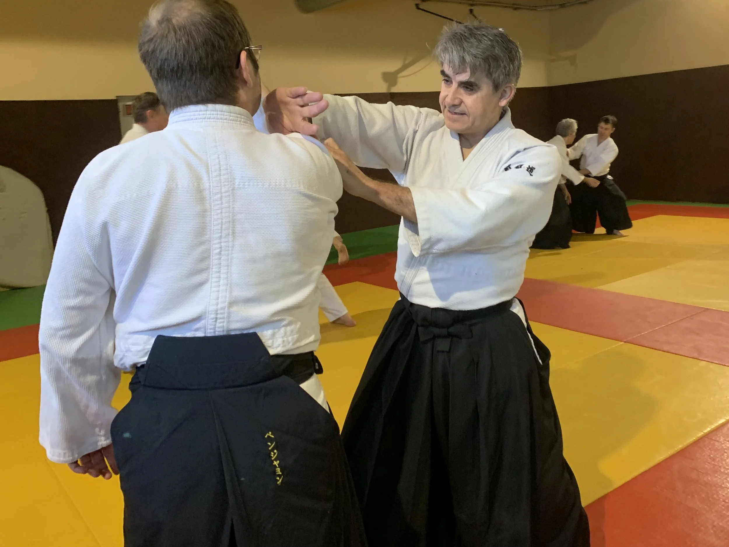 ACAF_stage_aikido_Stephane_Thoiron_01_2026_7.jpg