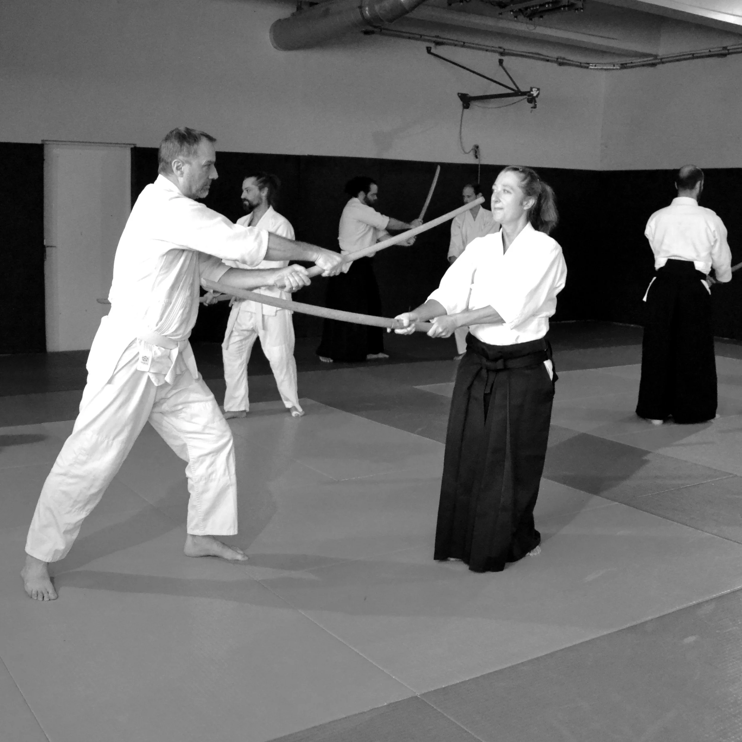 ACAF_stage_aikido_Thoiron_Gervais_05_2026_4.JPG