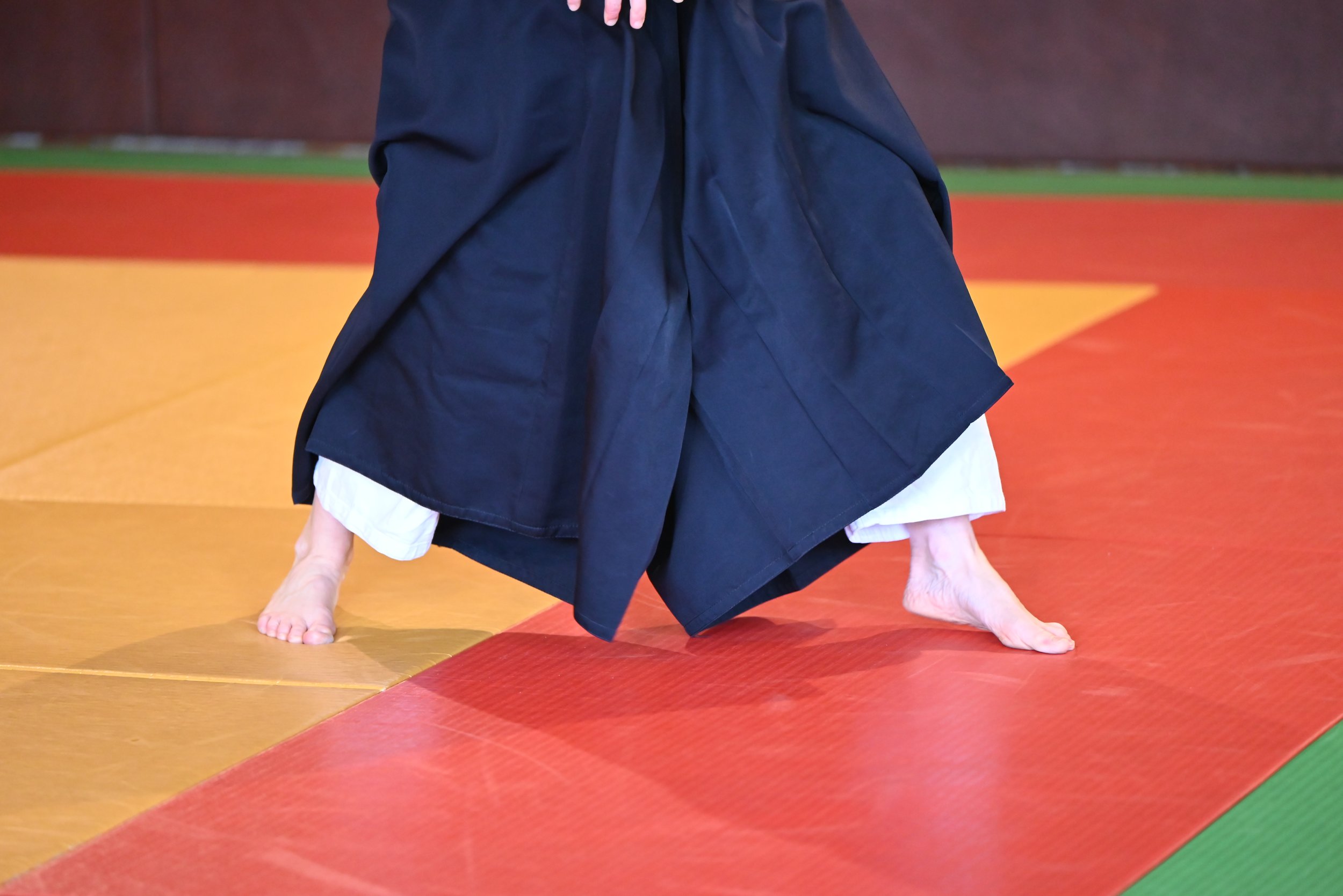 ACAF_stage_aikido_Helene_Doue_04_2026_32.JPG