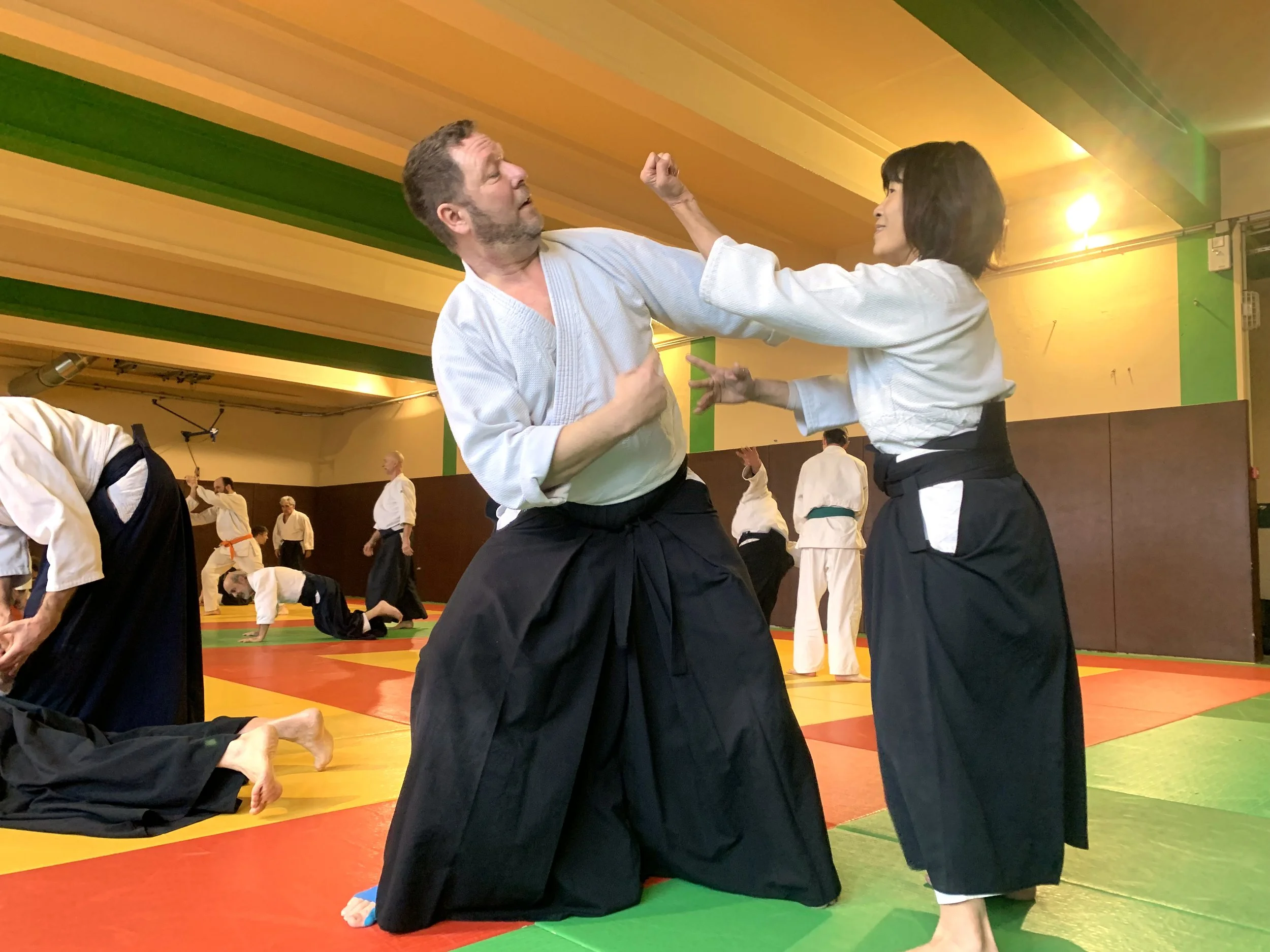 ACAF_stage_aikido_Stephane_Thoiron_01_2026_16.jpg