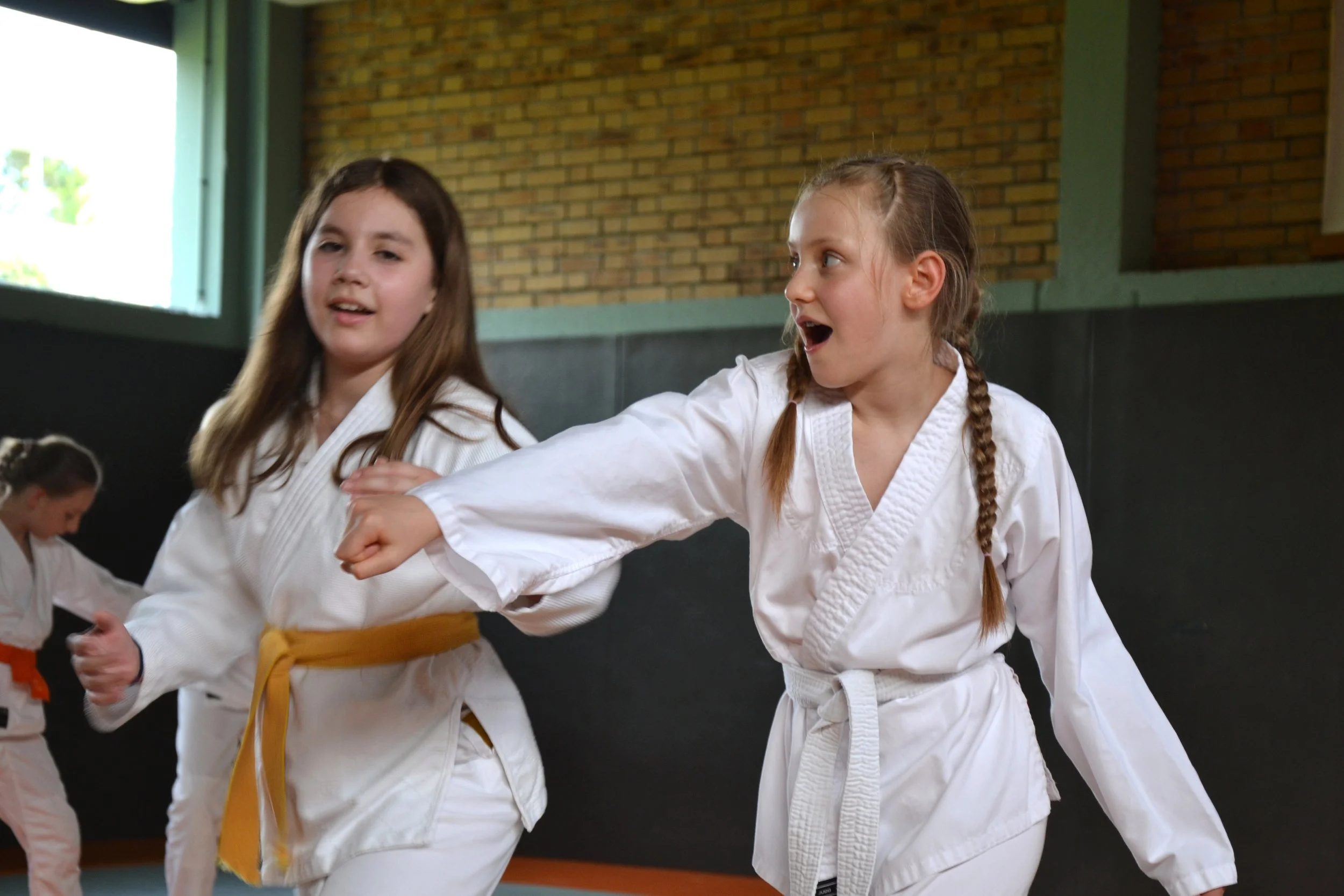 ACAF_interclub_aikido_enfants_Fontainebleau-Melun_05_2026_14.JPG