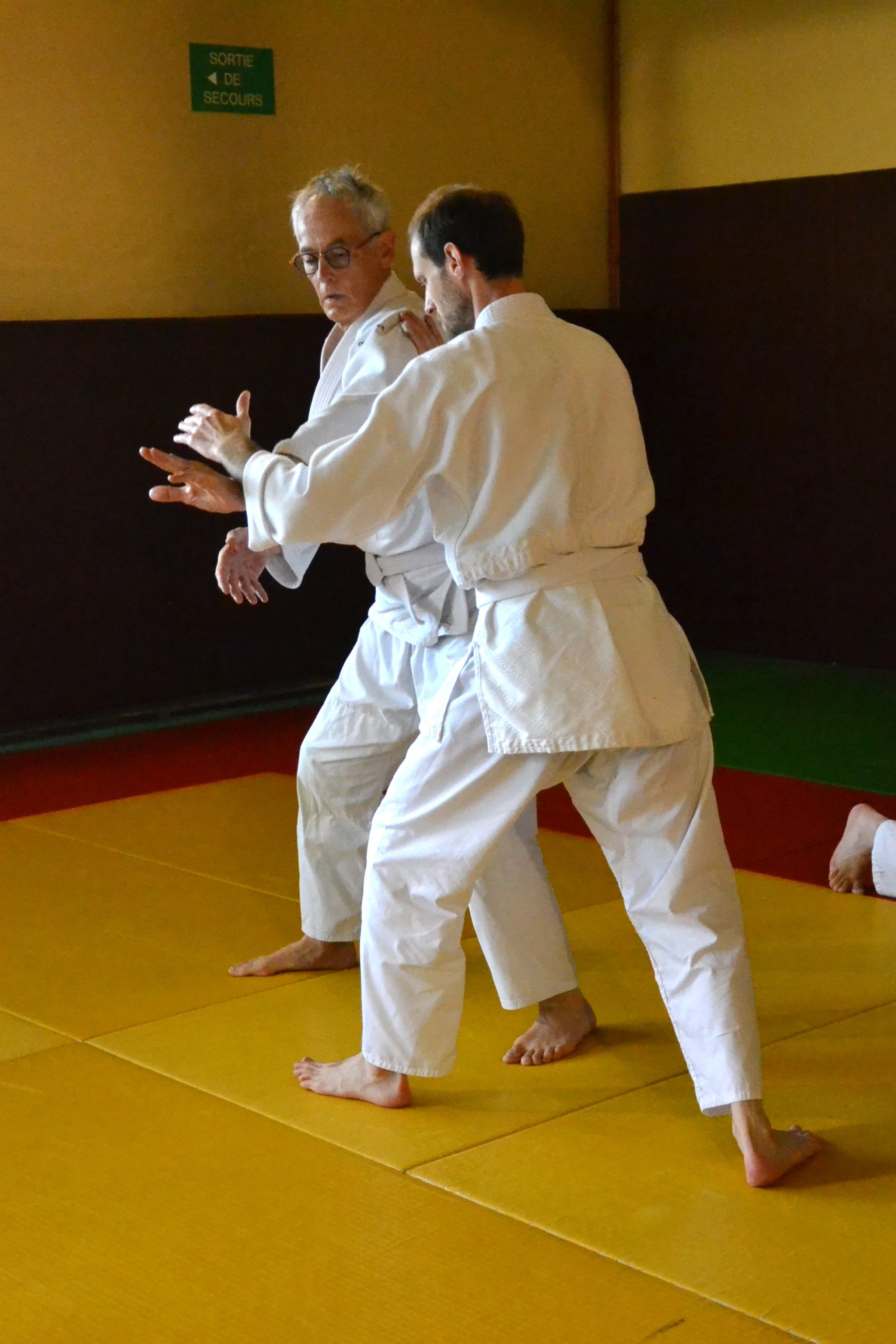 ACAF_stage_aikido_Thoiron_Gervais_05_2026_11.JPG