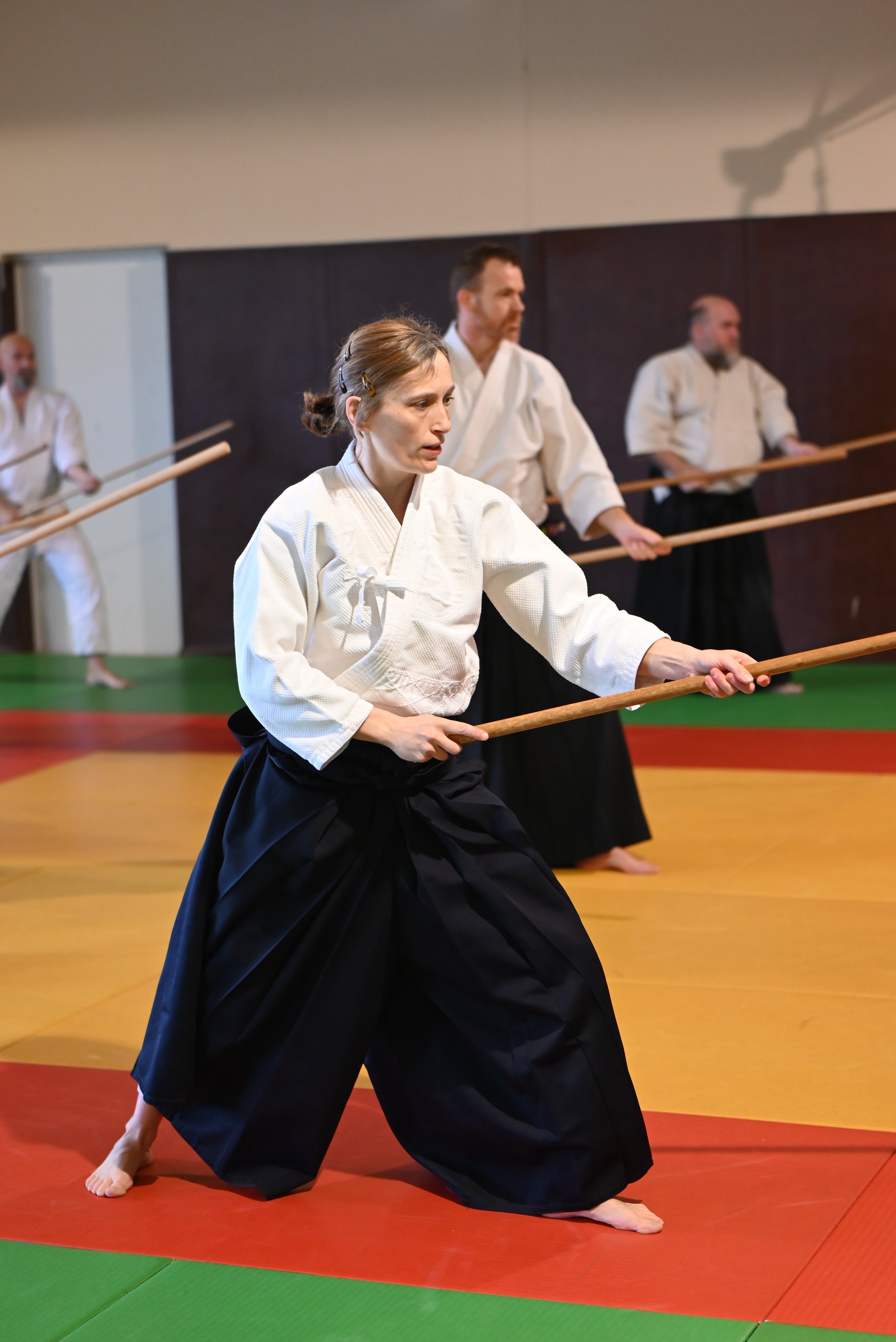 ACAF_stage_aikido_Helene_Doue_04_2026_5.JPG
