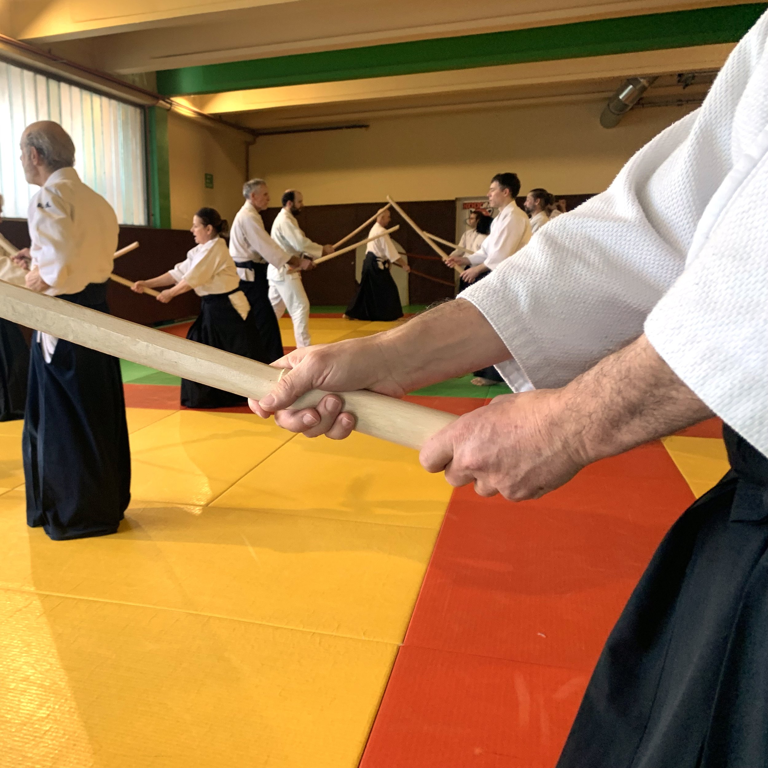ACAF_stage_aikido_Stephane_Thoiron_01_2026_42.jpg