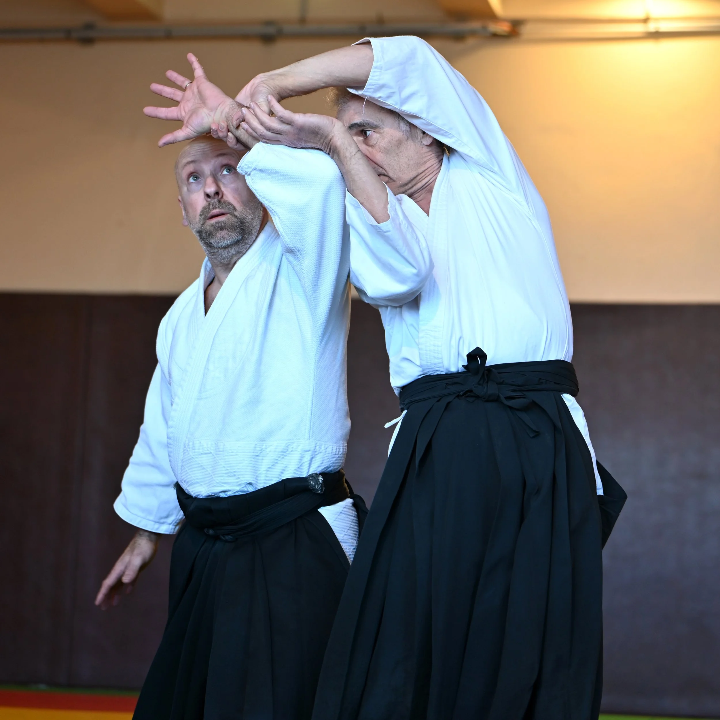 ACAF_cours_aikido_Sebastien_Gervais_02_2026_7.jpeg