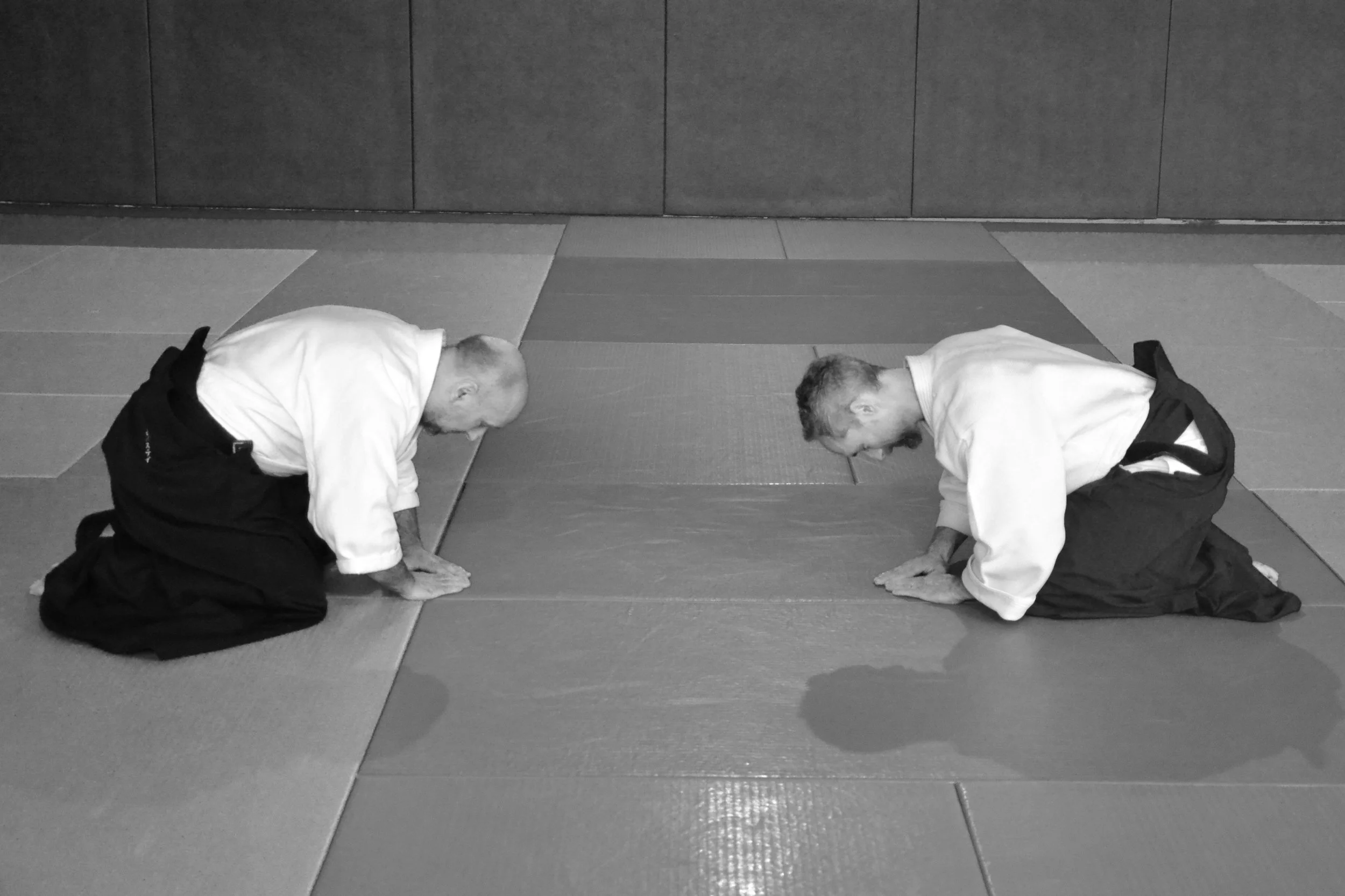 ACAF_stage_aikido_Thoiron_Gervais_05_2026_28.JPG