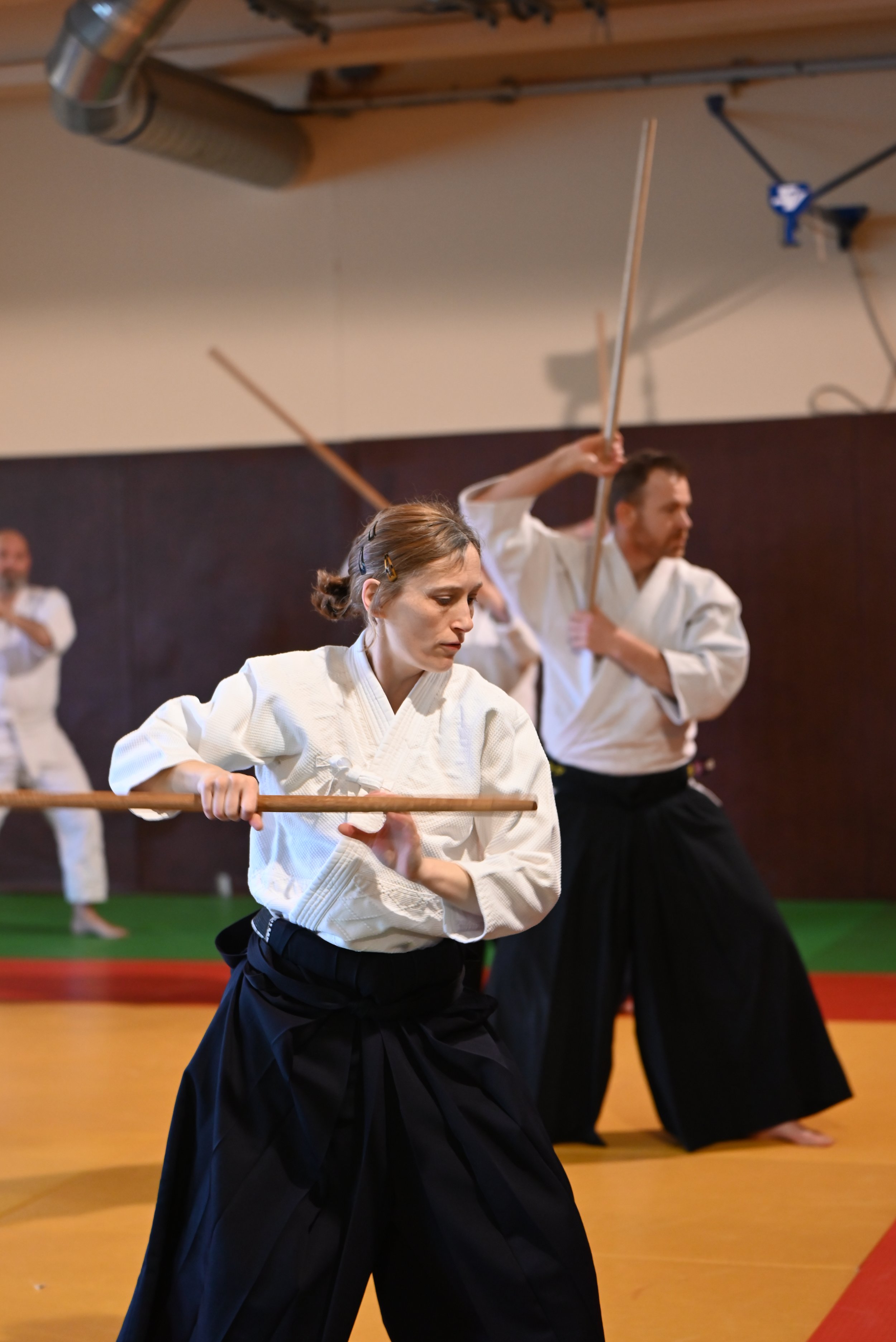 ACAF_stage_aikido_Helene_Doue_04_2026_4.JPG