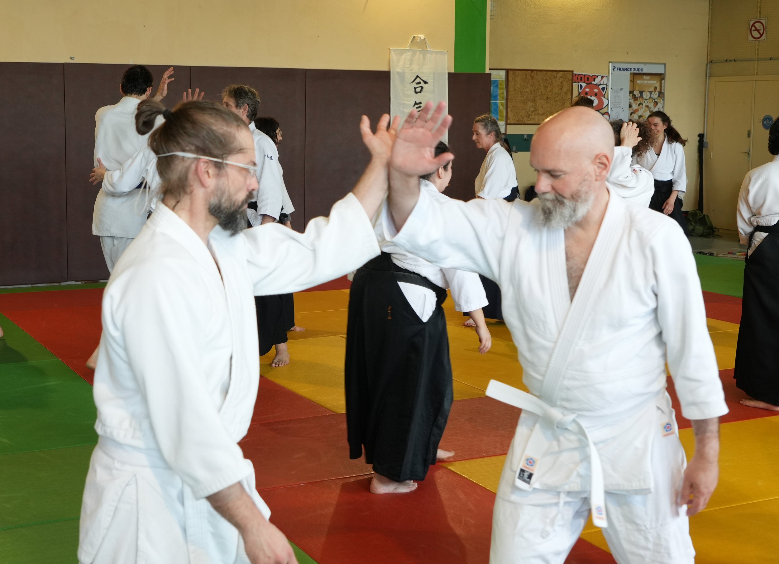 ACAF_stage_aikido_Helene_Doue_04_2026_52.jpg