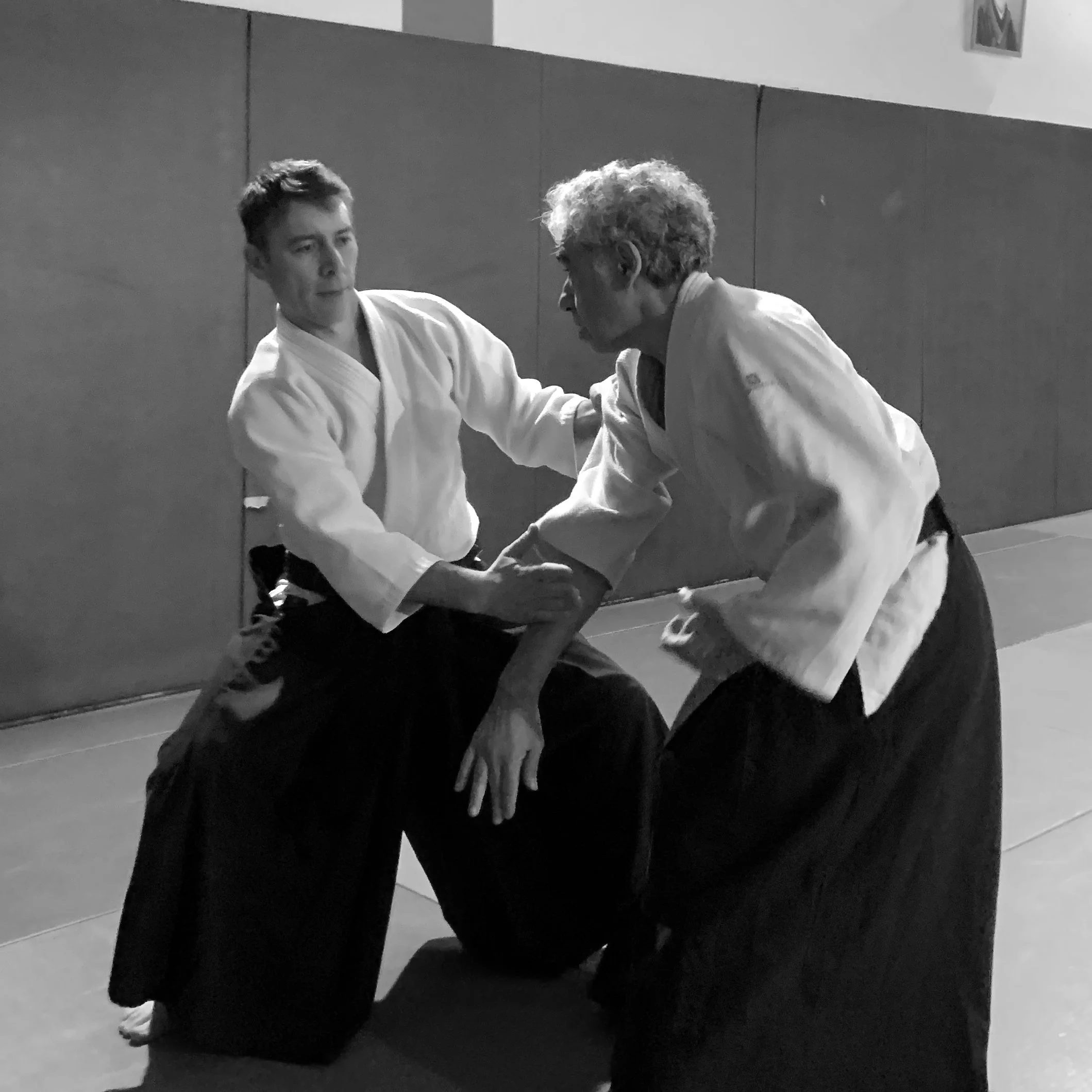 ACAF_stage_aikido_Stephane_Thoiron_01_2026_10.jpg