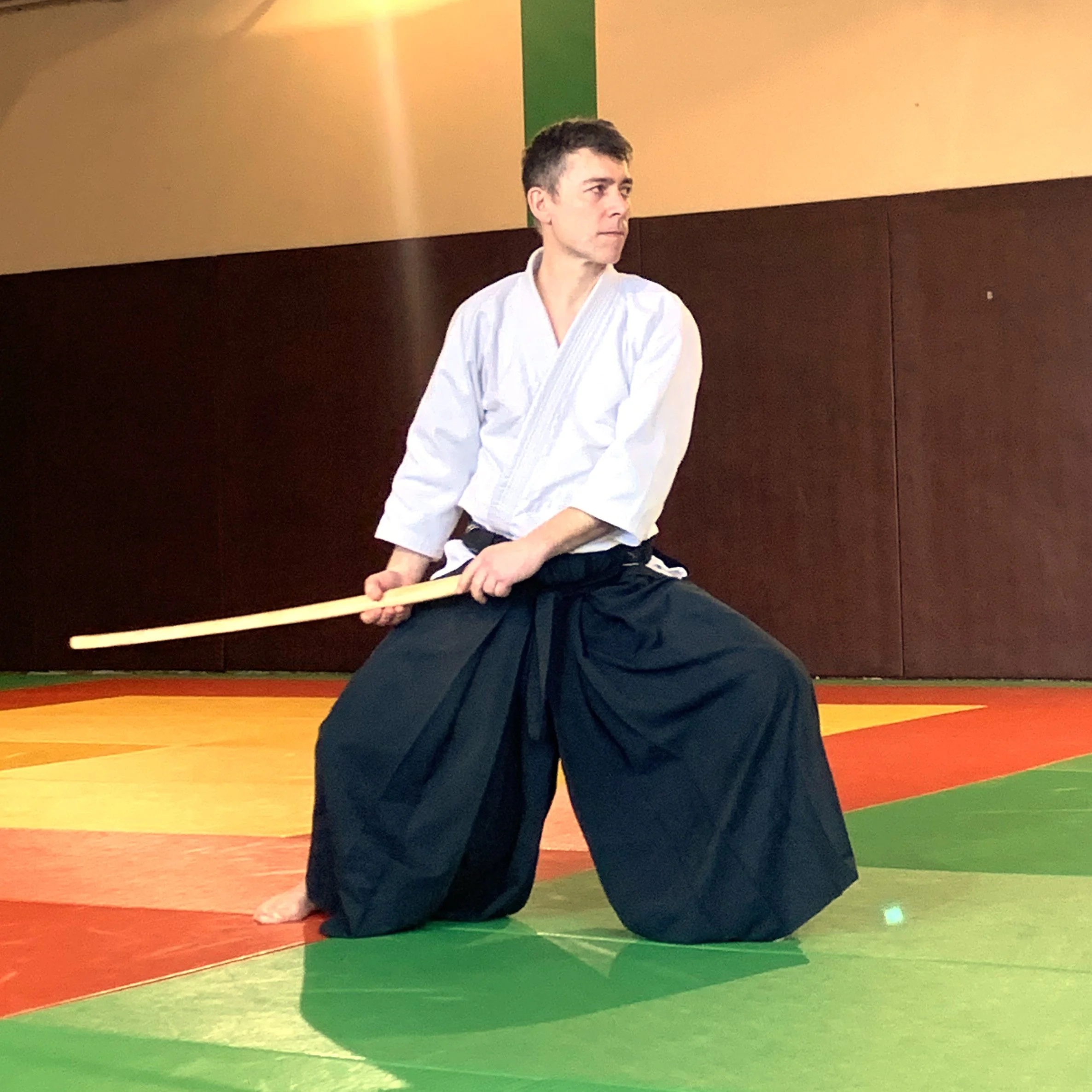 ACAF_stage_aikido_Stephane_Thoiron_01_2026_51.jpg