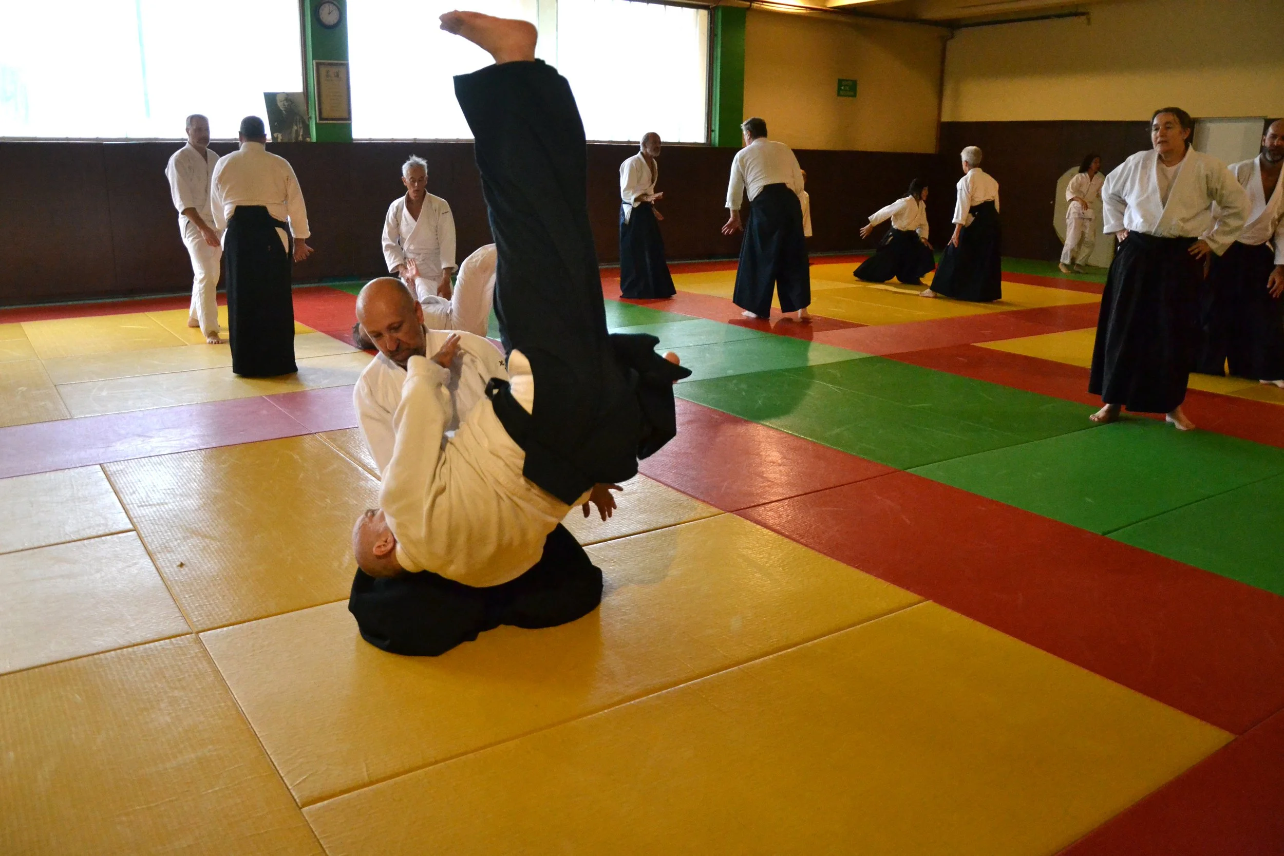 ACAF_stage_aikido_Thoiron_Gervais_05_2026_27.JPG