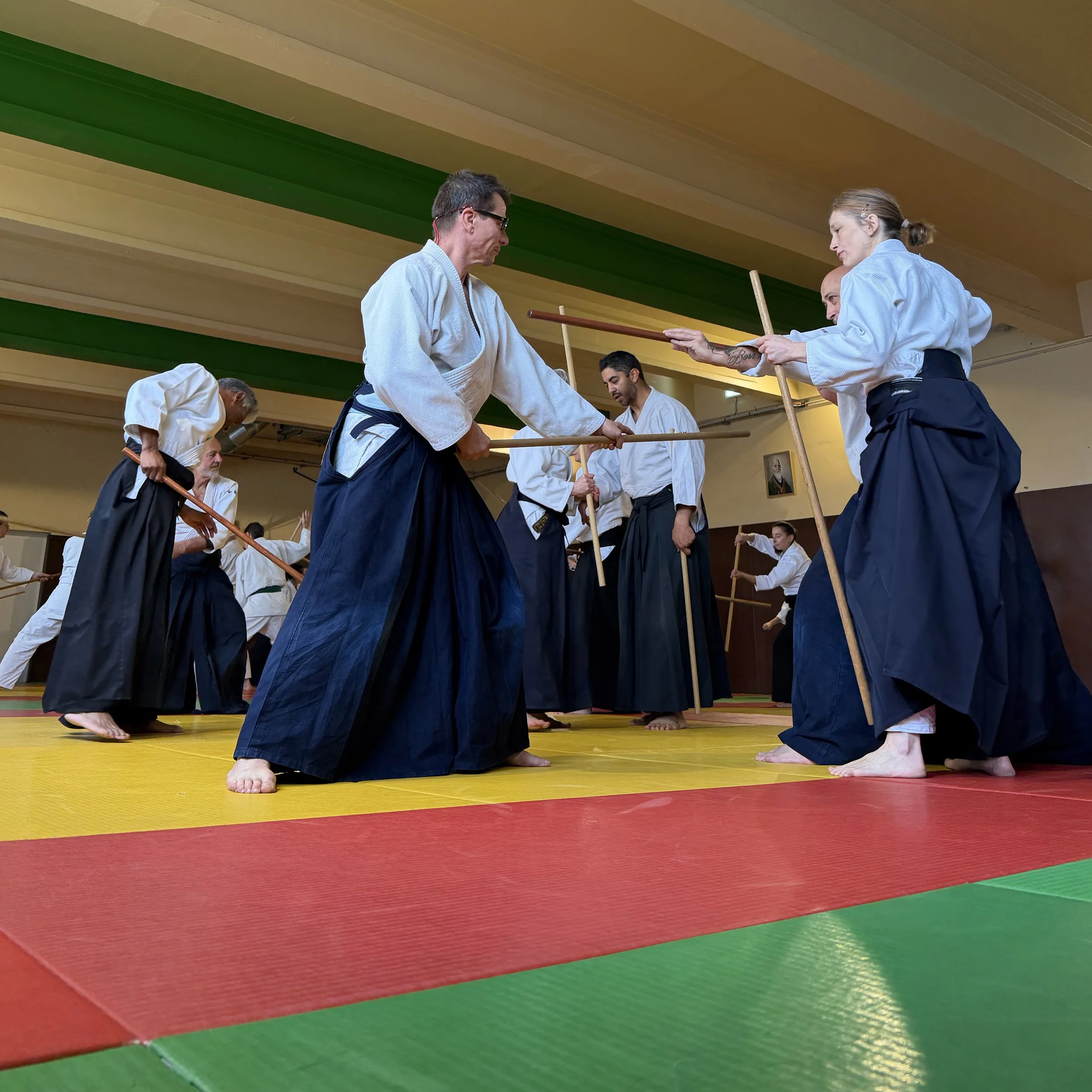 ACAF_stage_aikido_Helene_Doue_04_2026_59.jpeg