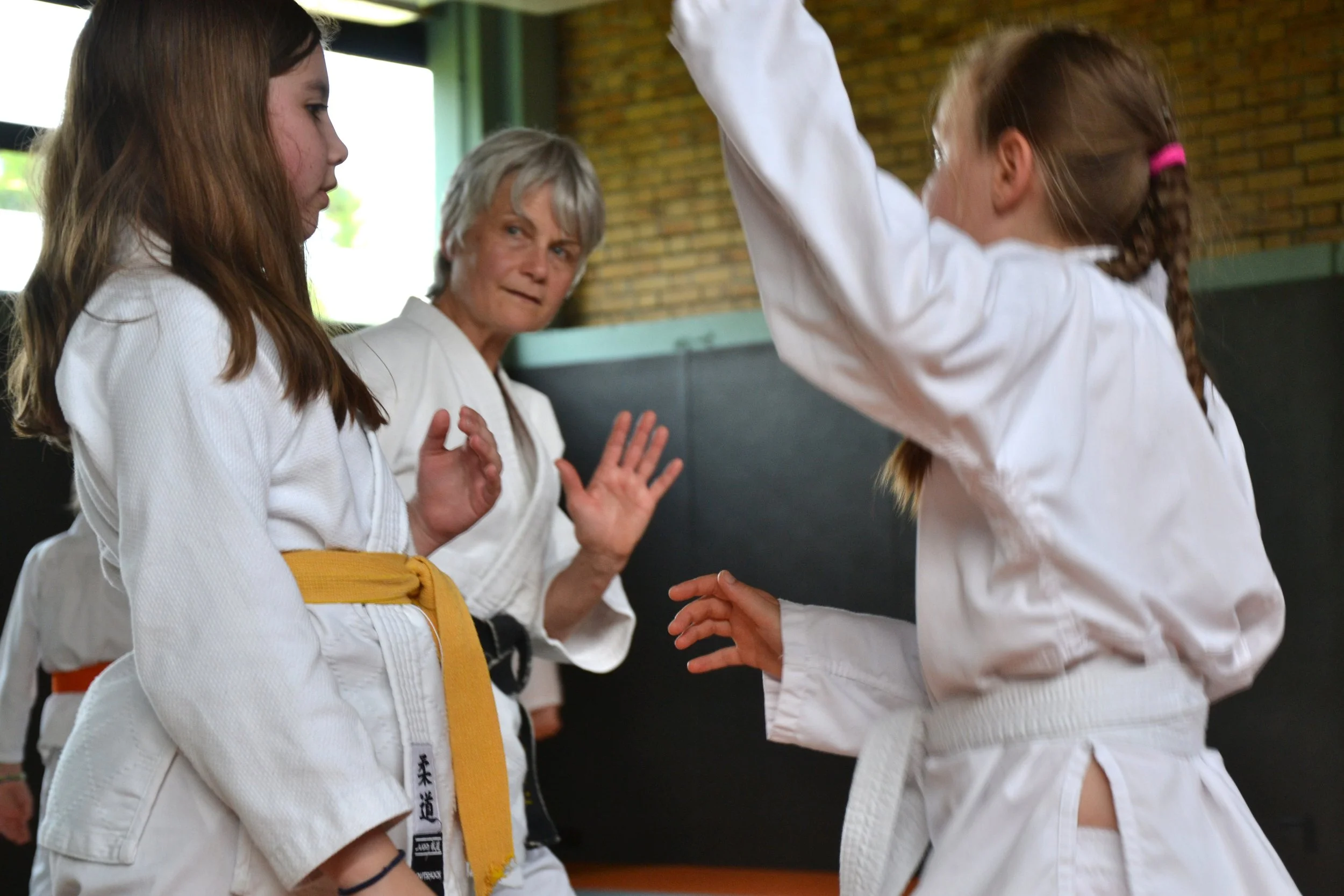 ACAF_interclub_aikido_enfants_Fontainebleau-Melun_05_2026_15.JPG