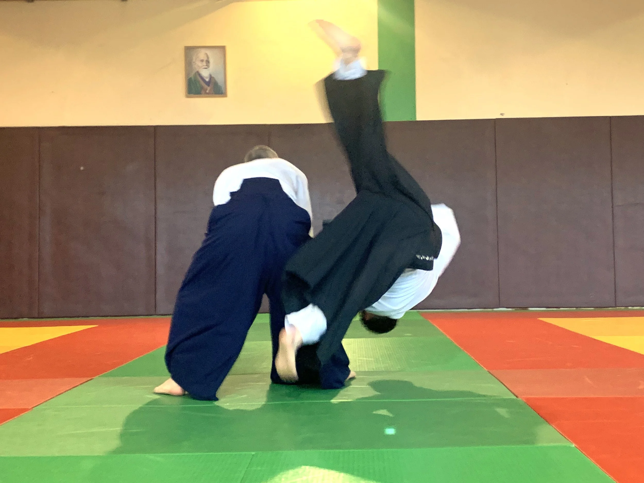 ACAF_stage_aikido_Stephane_Thoiron_01_2026_22.jpg