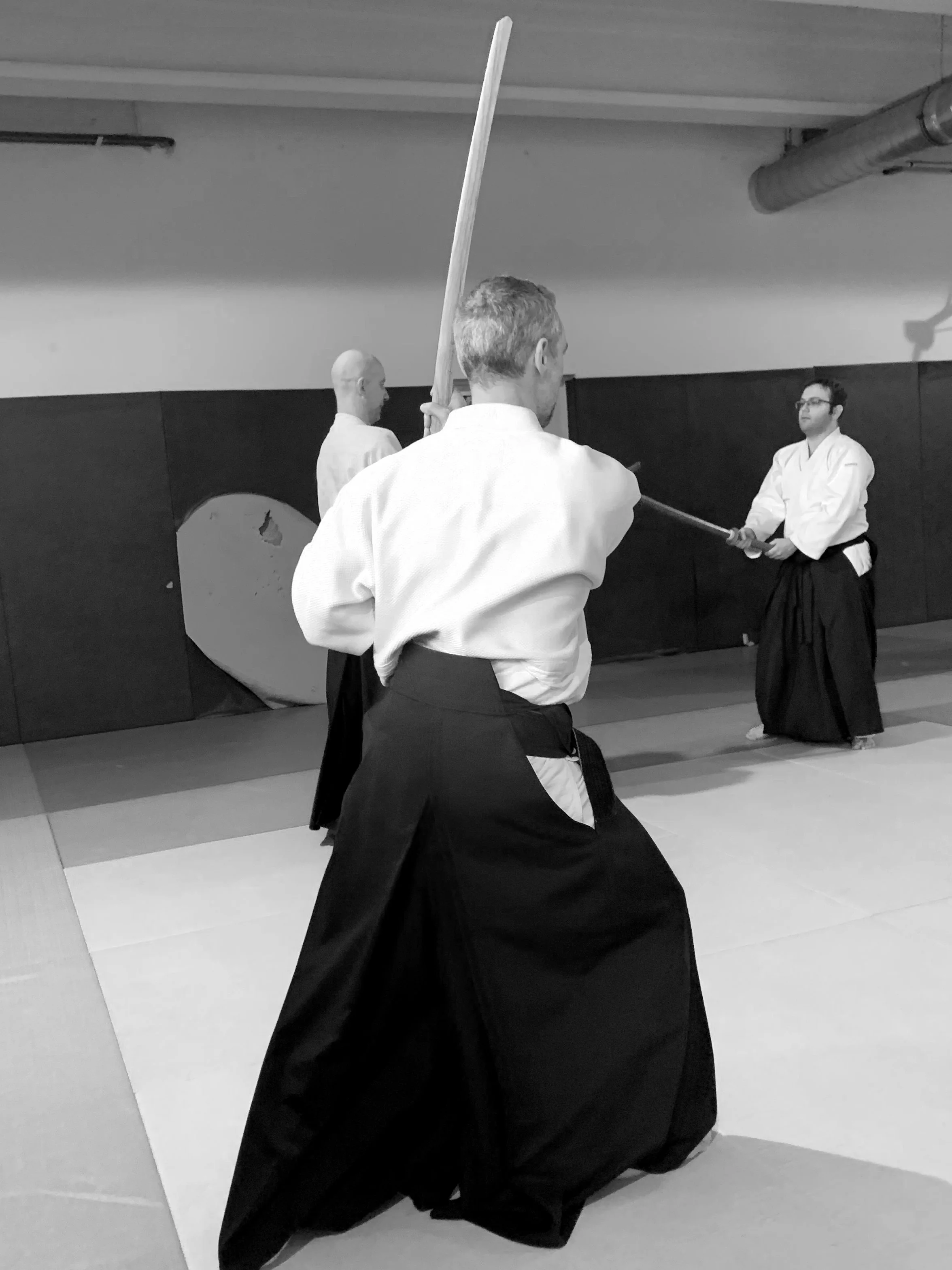 ACAF_stage_aikido_Stephane_Thoiron_01_2026_46.jpg