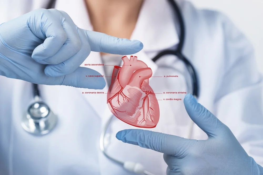 Cardiology and Interventional Cardiology