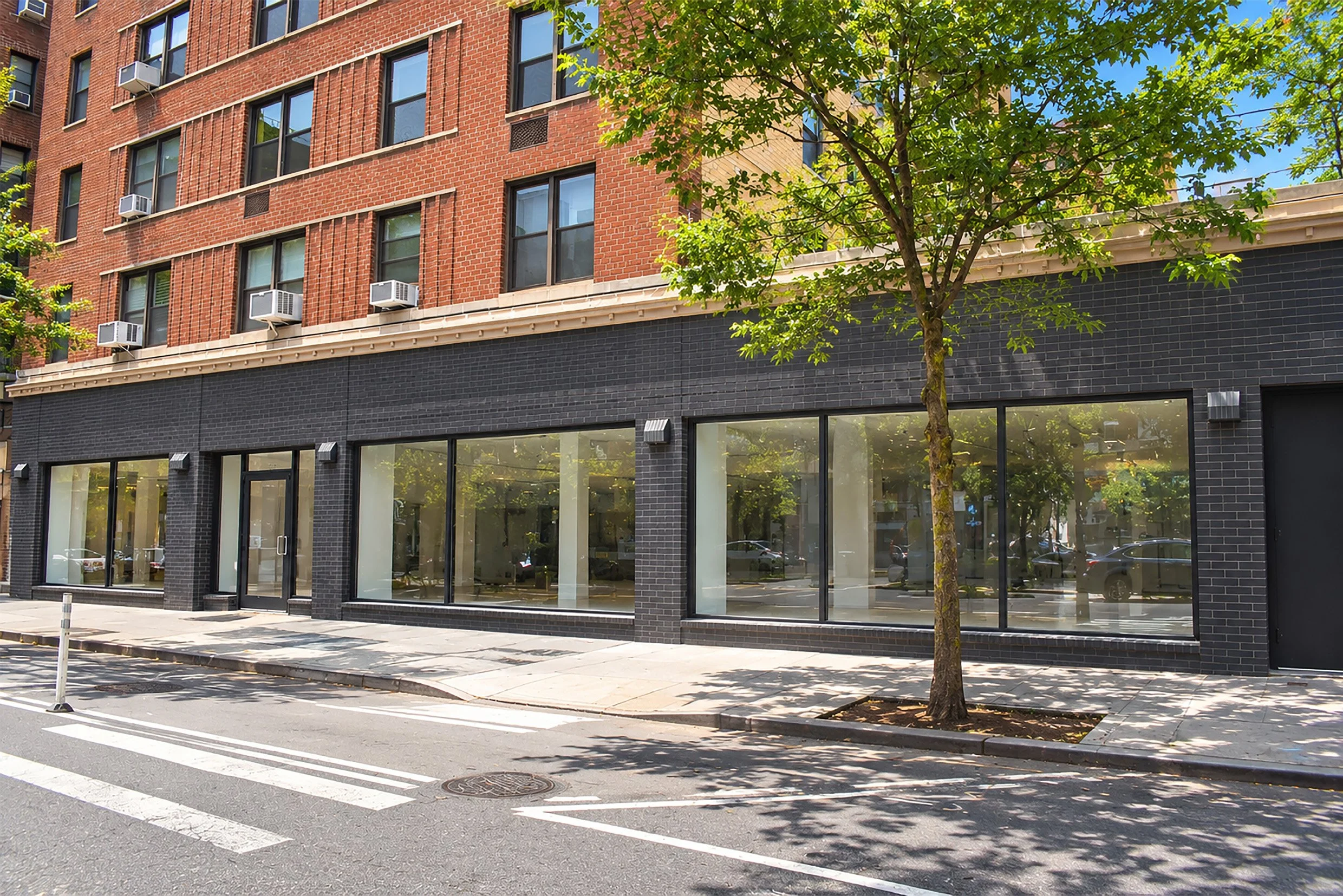Sunlit Modern Urban Storefront with Lush Trees copy.jpg