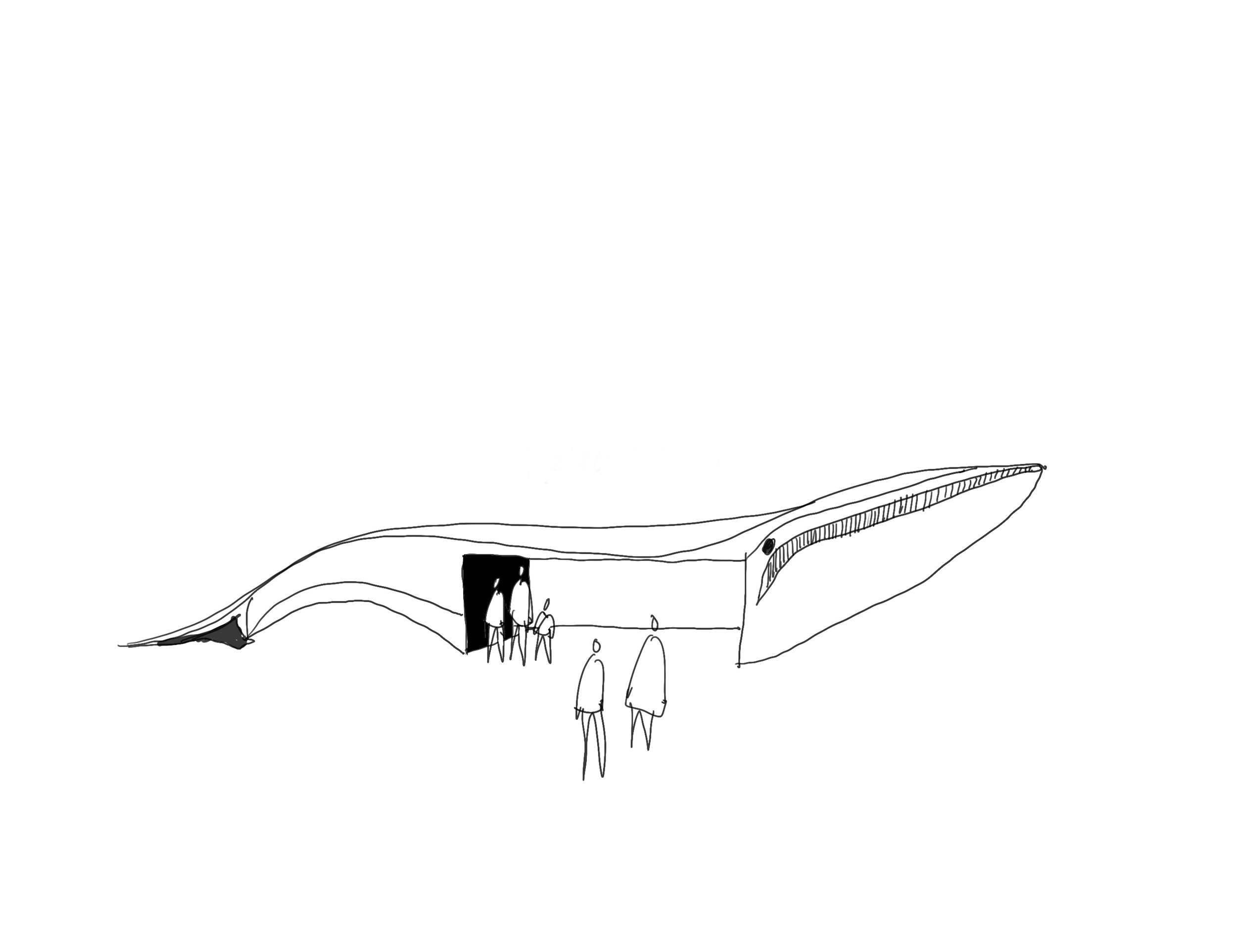 Wale_Installation.png