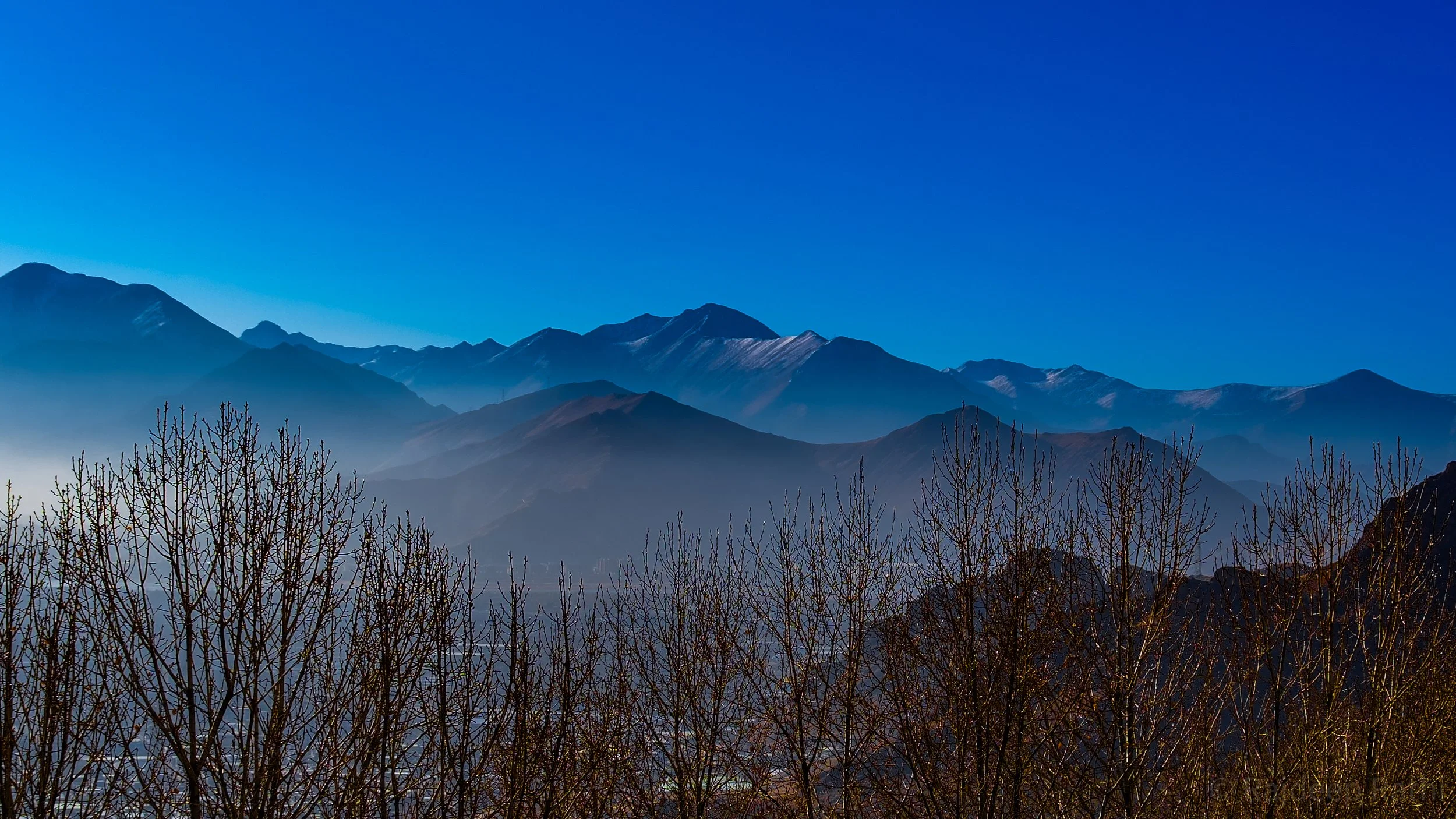 DSC00086.jpg