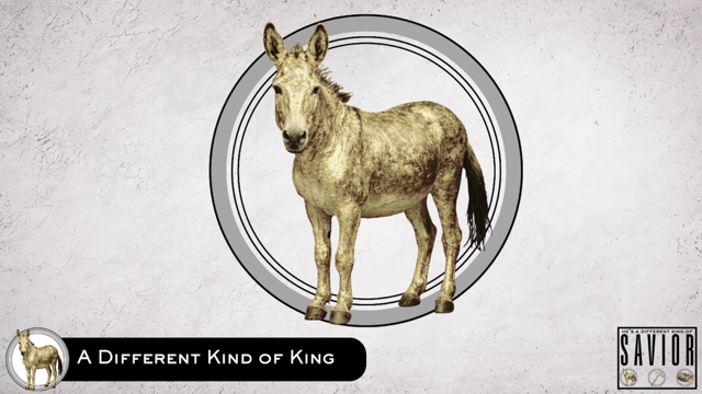 A Different Kind of King