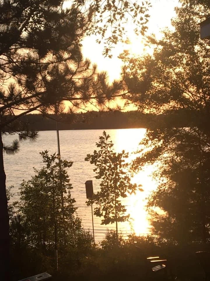 Golden sunset over Island Lake framed by pine tree silhouettes.