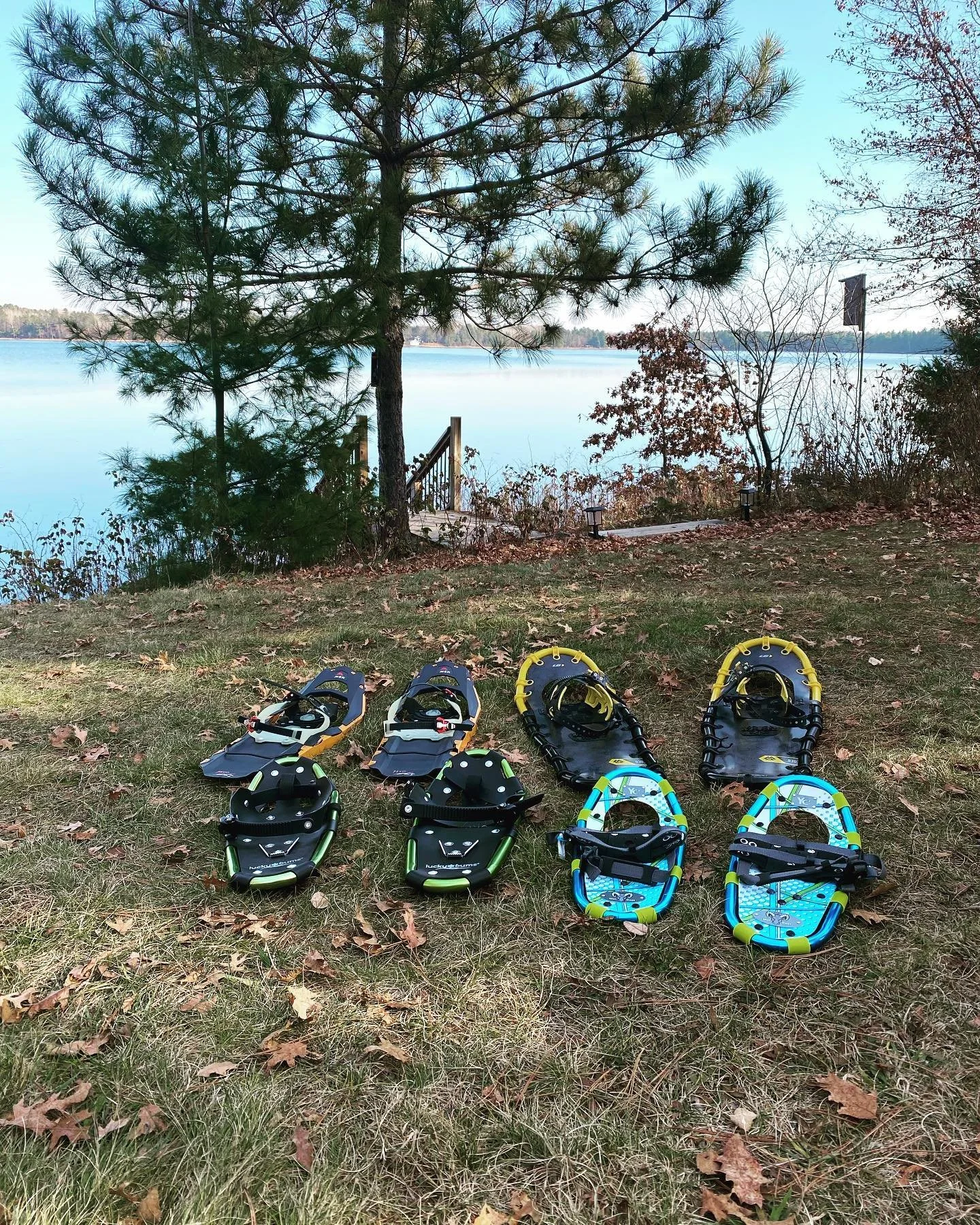 Colorful snowshoes lined up on lawn overlooking Island Lake.