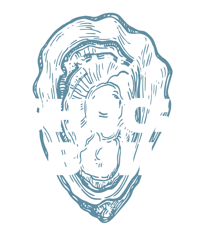 CHESAPEAKE SHUCK &amp; BOIL