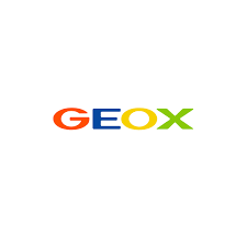 geox logo.png
