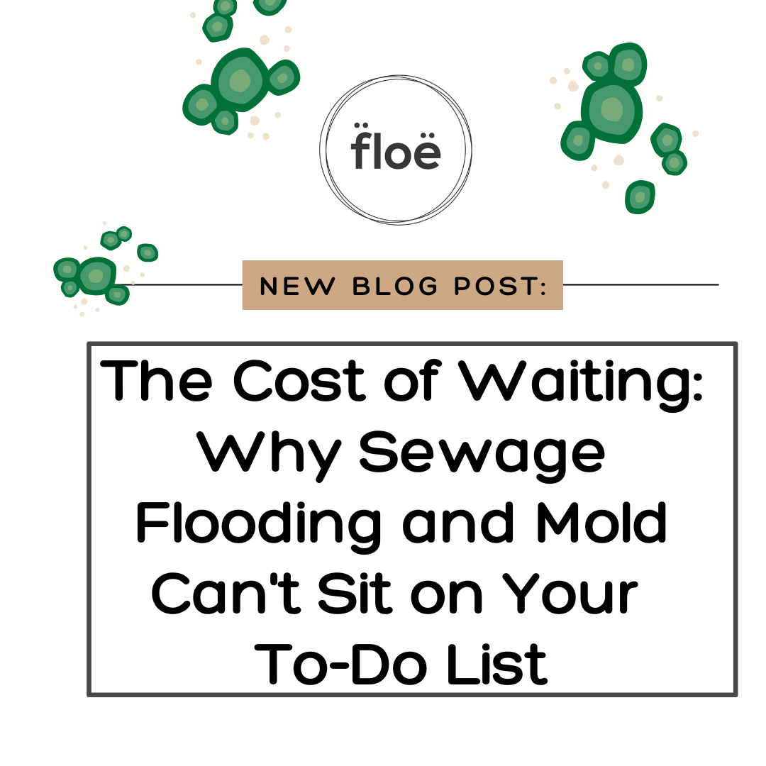 The Cost of Waiting: Why Sewage Flooding and Mold Can't Sit on Your To-Do List