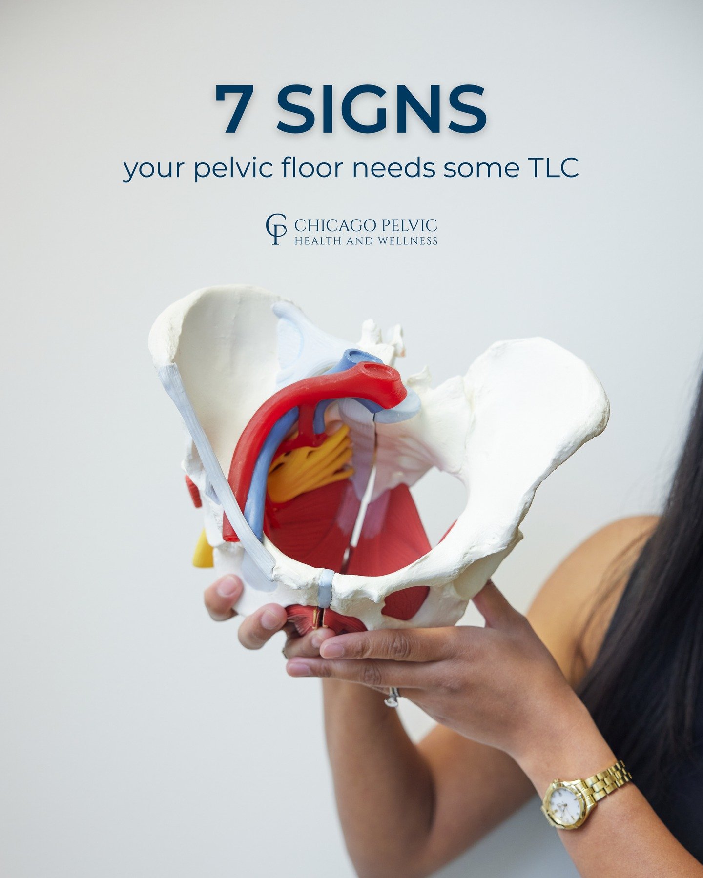 Your pelvic floor is trying to tell you something. And this is one message you don't want to ignore 📲

If you're nodding along, you're definitely not alone. And yes, there's actual help for this right here in Chicago (hint: click the link in our bio