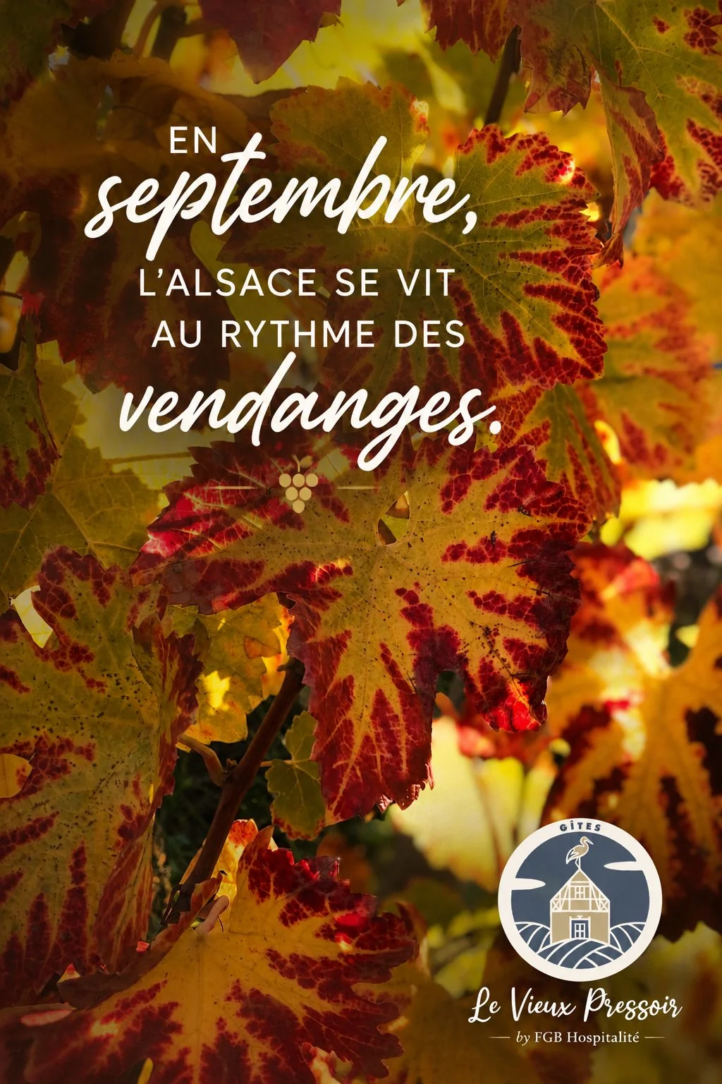 Septembre a quelque chose de particulier en Alsace.