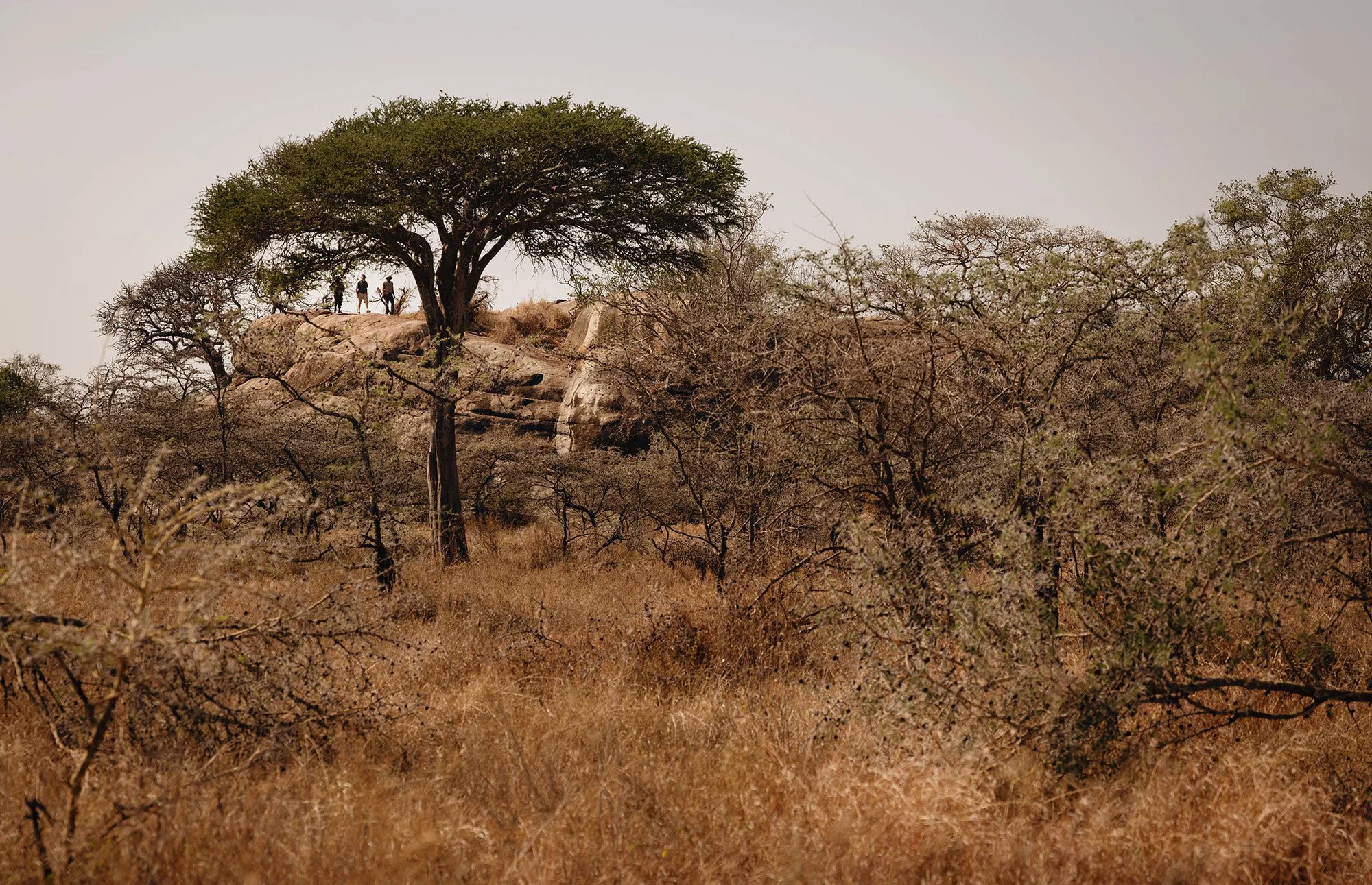 Nomad Journeys: South to Kusini and the edges, again.