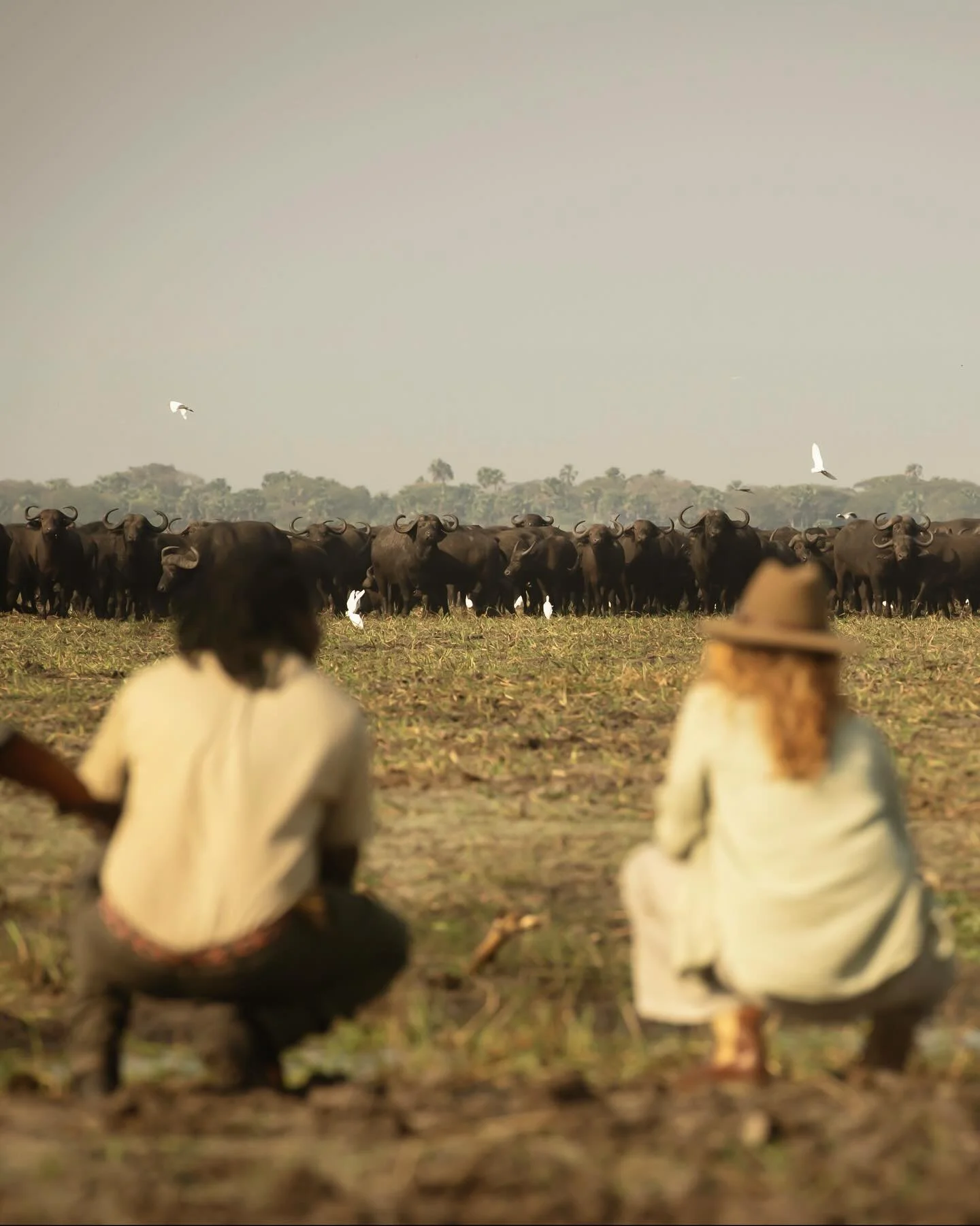 Chada Katavi, my favourite place on the planet. Where else can you walk with over a thousand head of buffalo!

We bedded in on the edge of the plain, the little tented camp sitting easily - and quietly - amongst the Tamarind trees. We spent a night o
